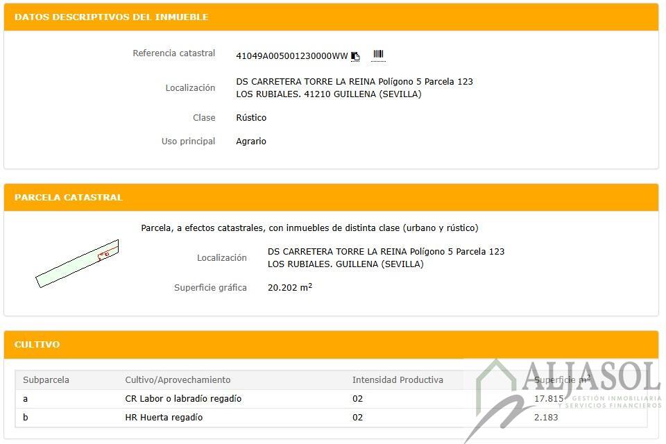 Venta de finca rústica en Guillena