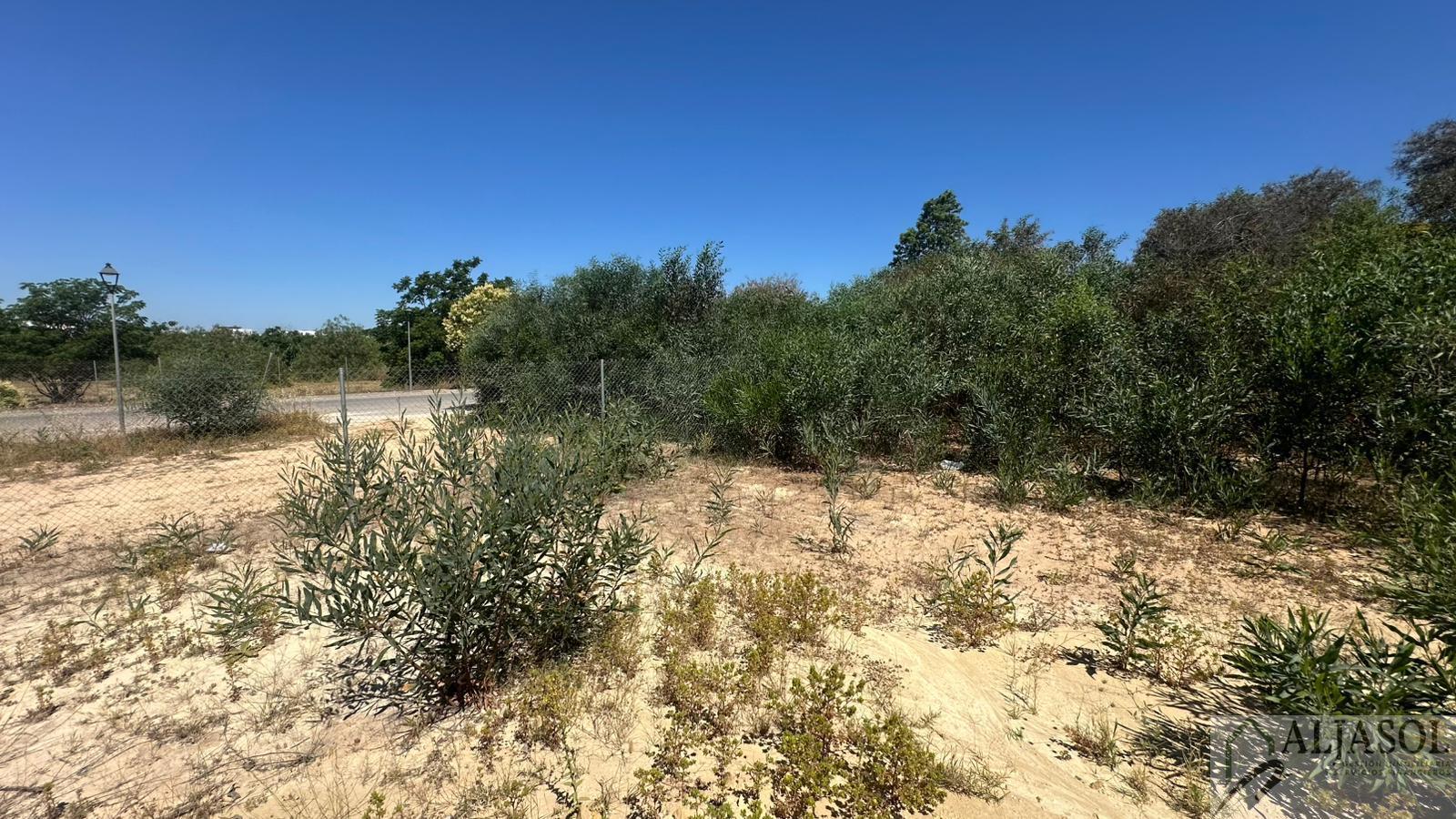 Venta de terreno en Palomares del Río