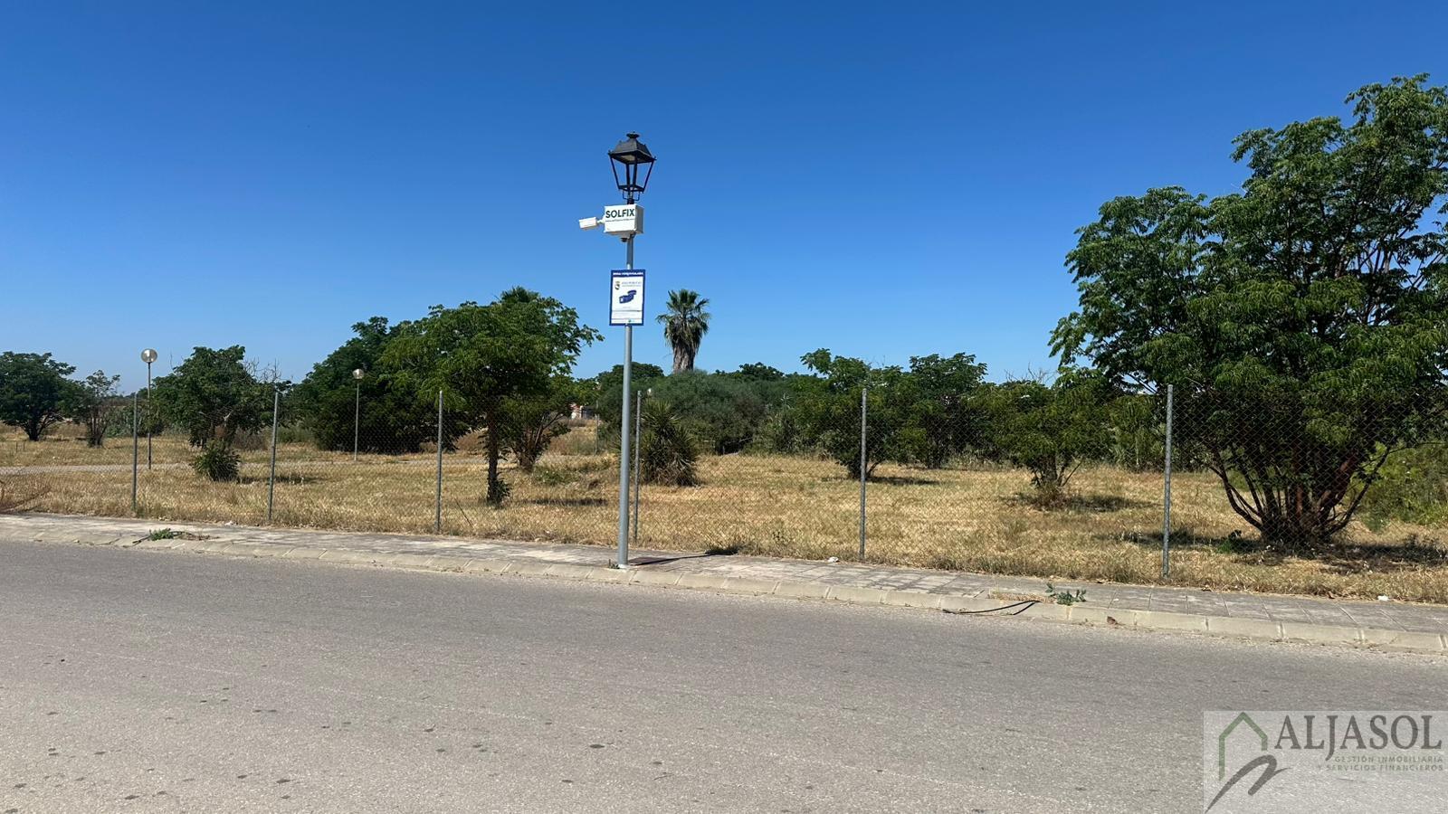 Venta de terreno en Palomares del Río
