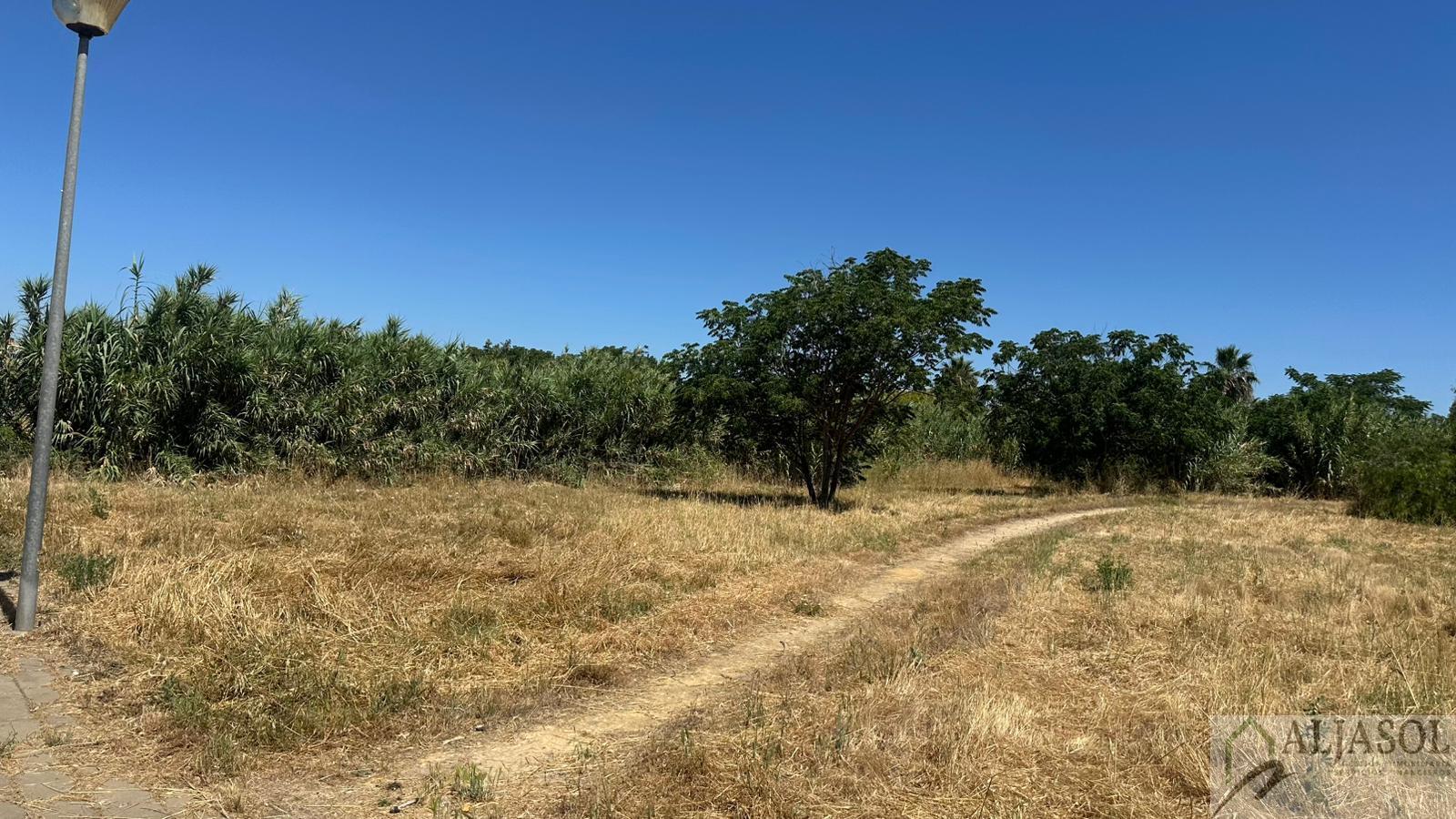 Venta de terreno en Palomares del Río
