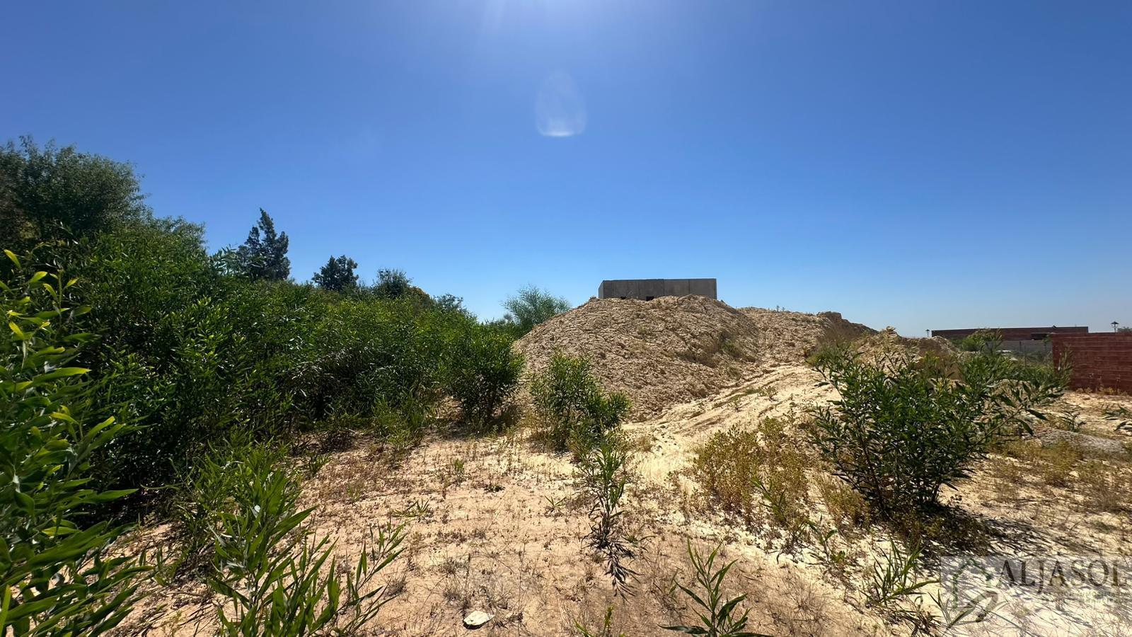 Venta de terreno en Palomares del Río