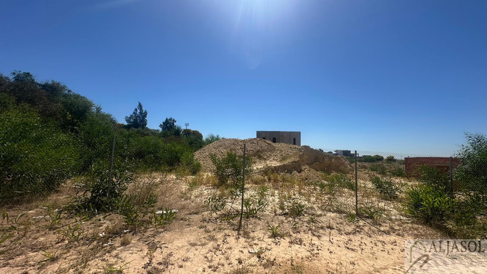 Venta de terreno en Palomares del Río