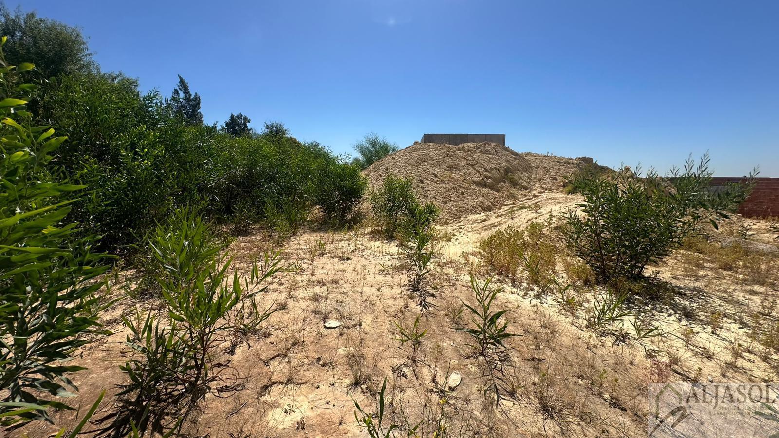 Venta de terreno en Palomares del Río