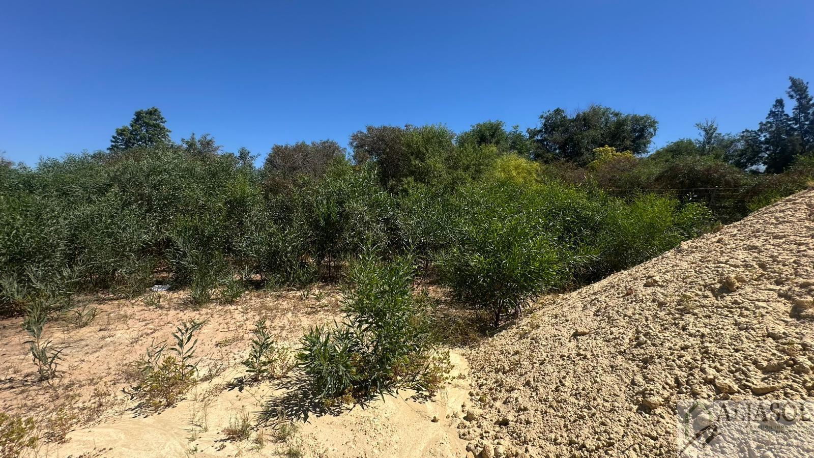 Venta de terreno en Palomares del Río