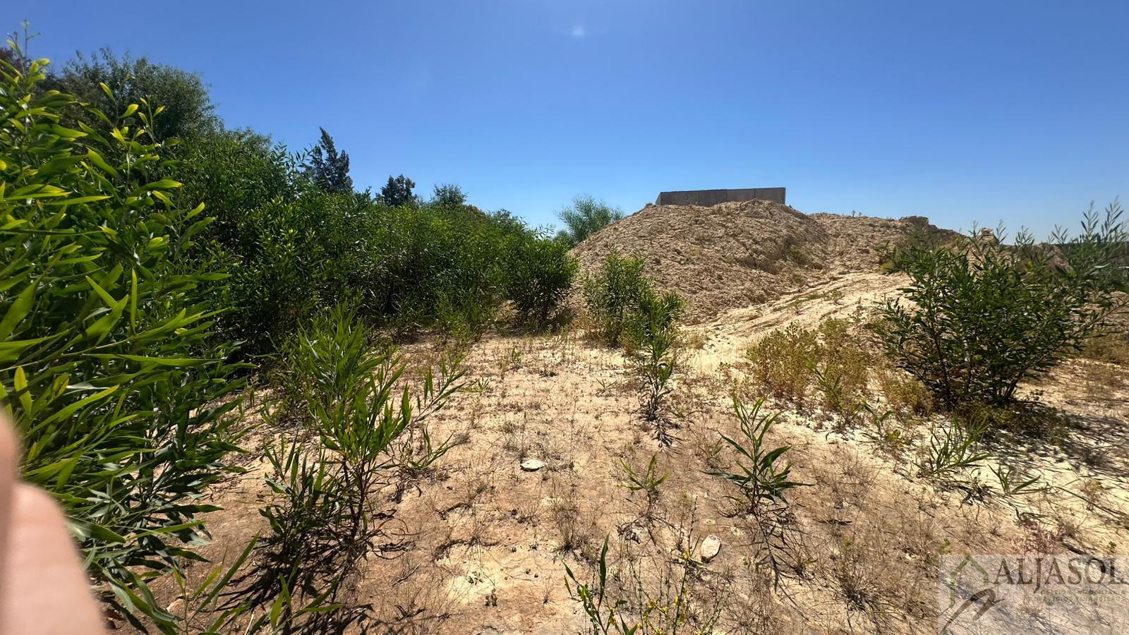 Venta de terreno en Palomares del Río