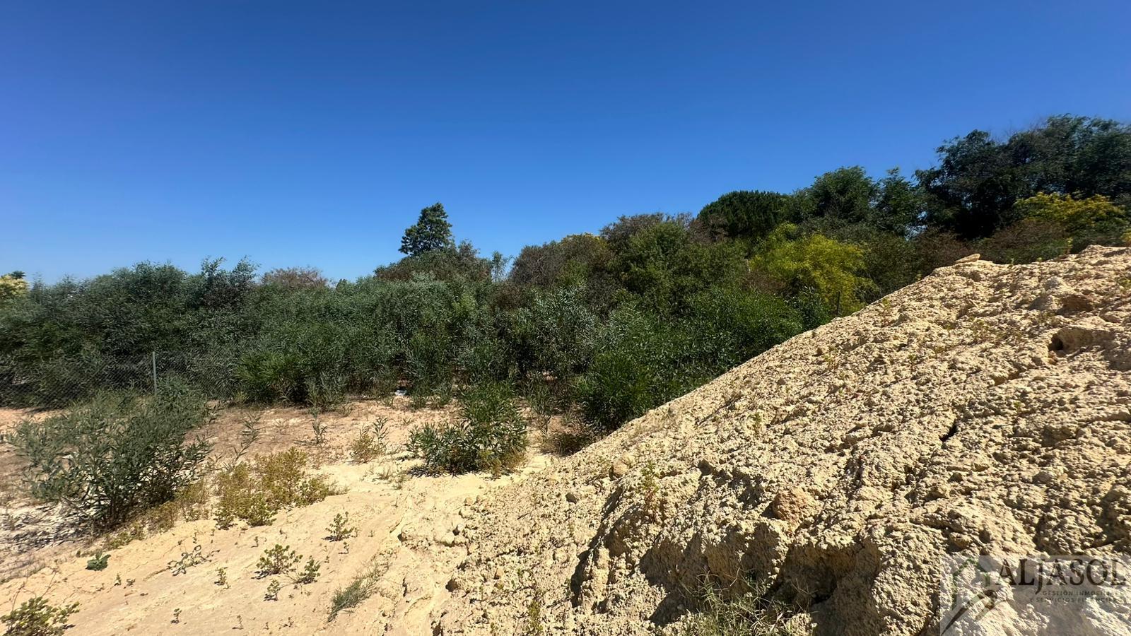 Venta de terreno en Palomares del Río