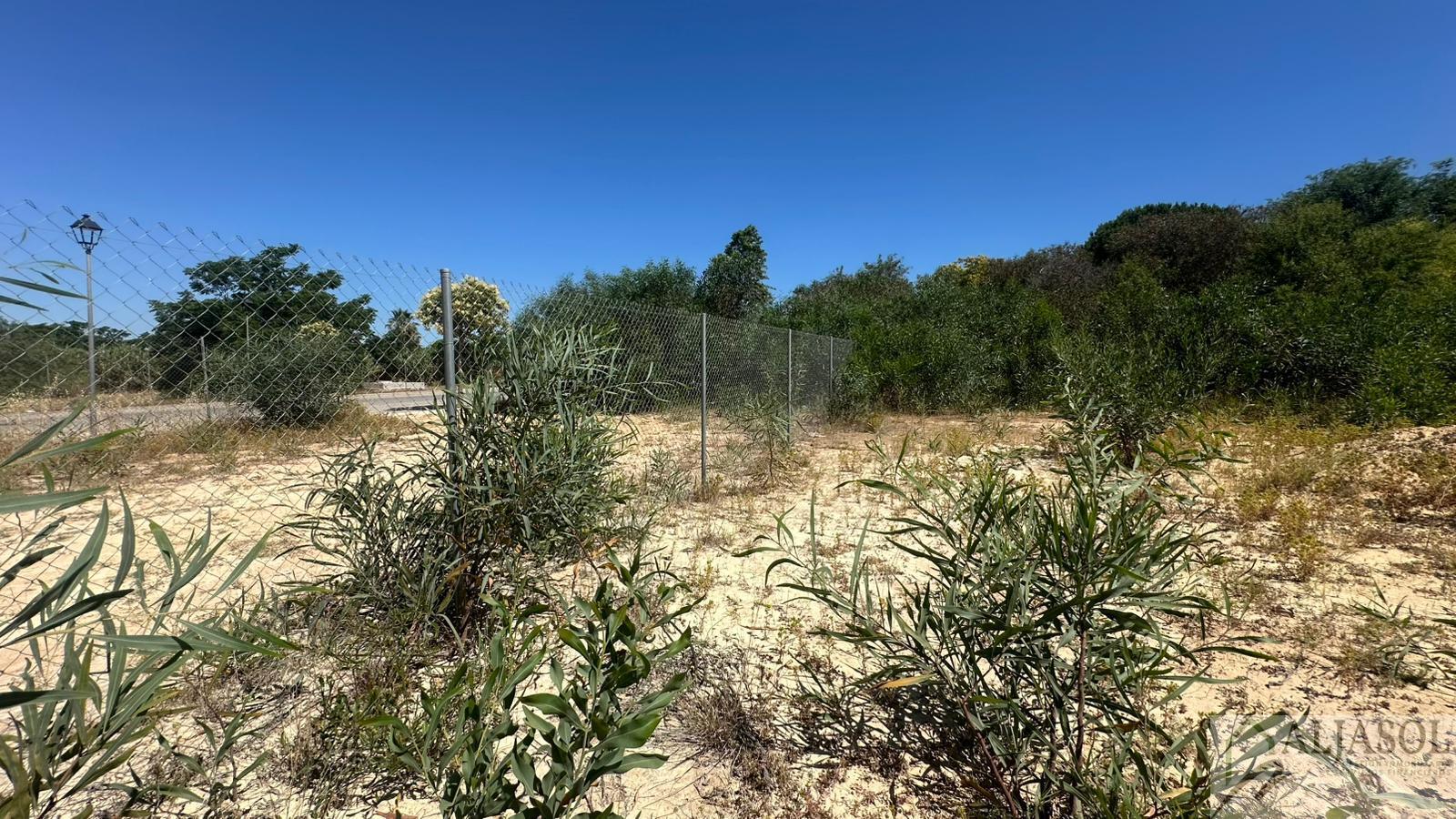 Venta de terreno en Palomares del Río