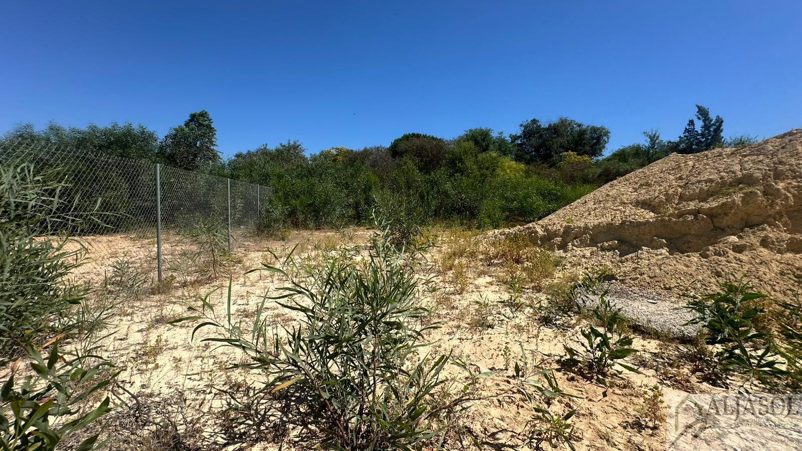 Venta de terreno en Palomares del Río