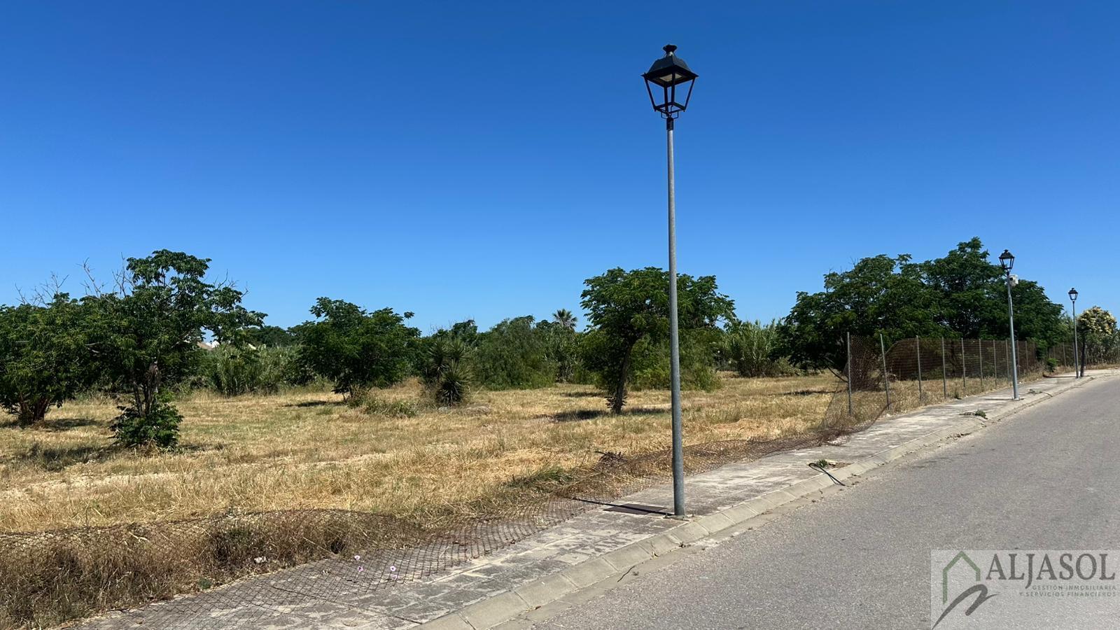 Venta de terreno en Palomares del Río