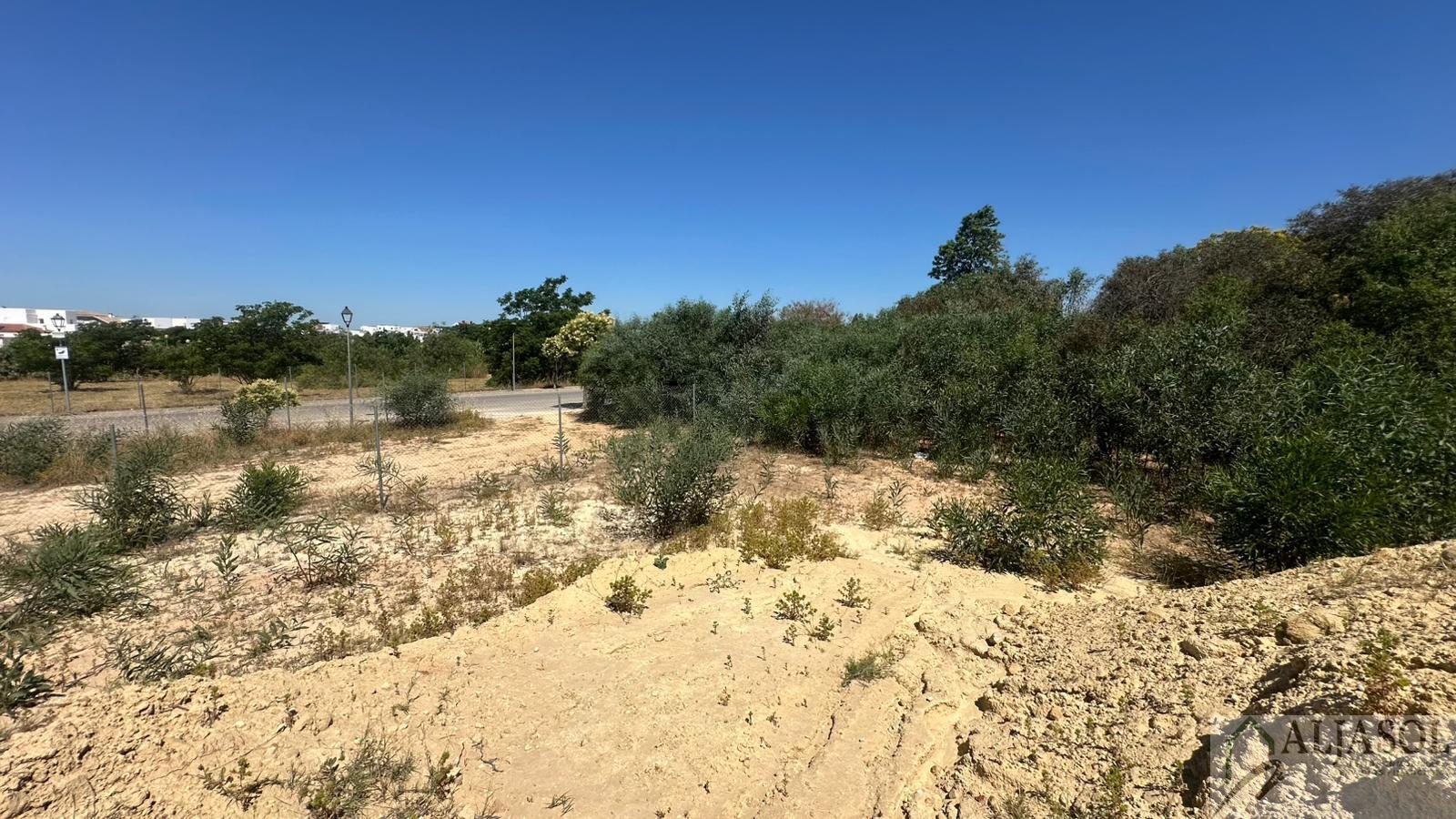 Venta de terreno en Palomares del Río