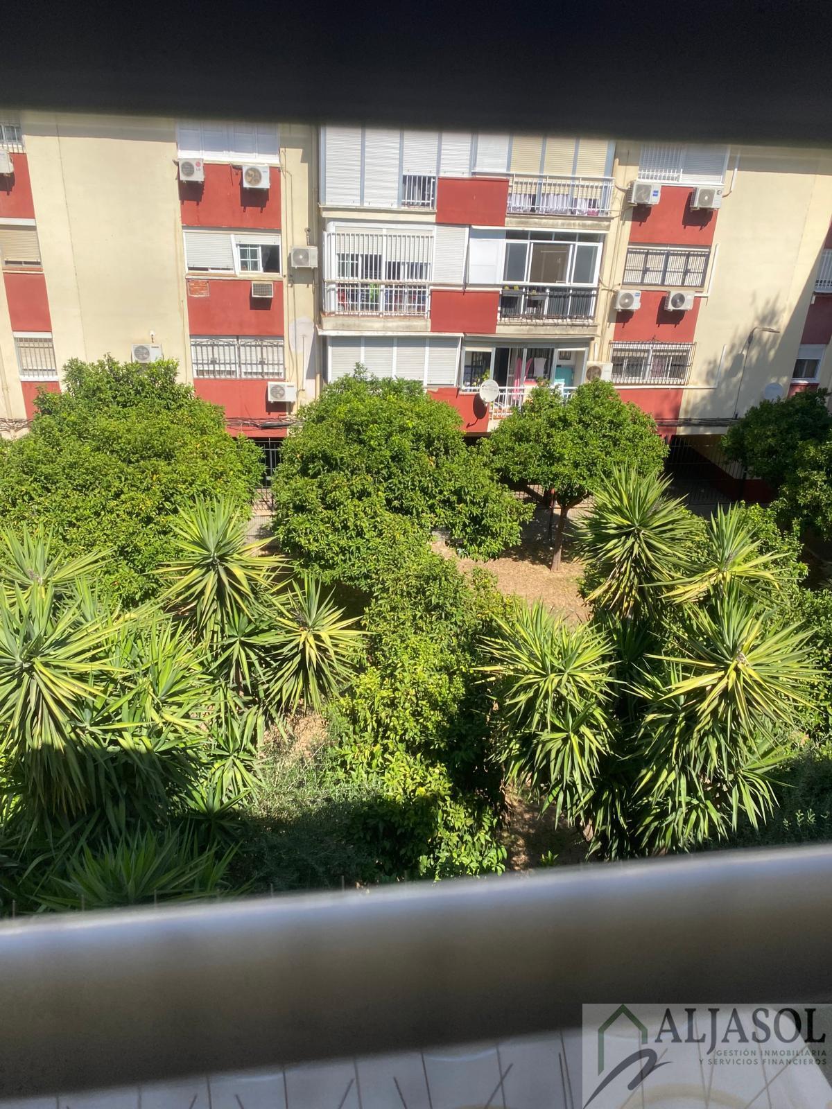 Venta de piso en Sevilla