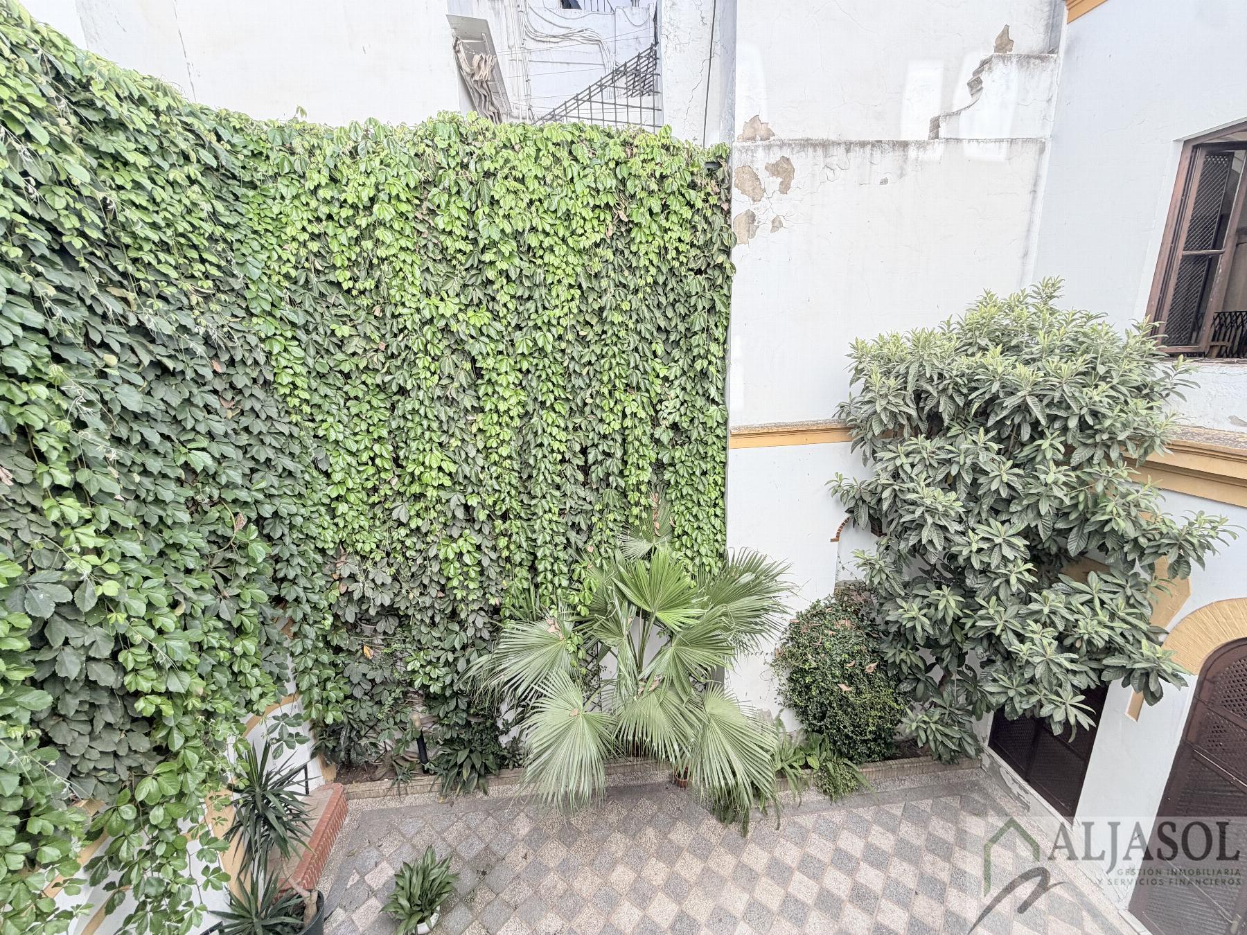 For sale of flat in Sevilla