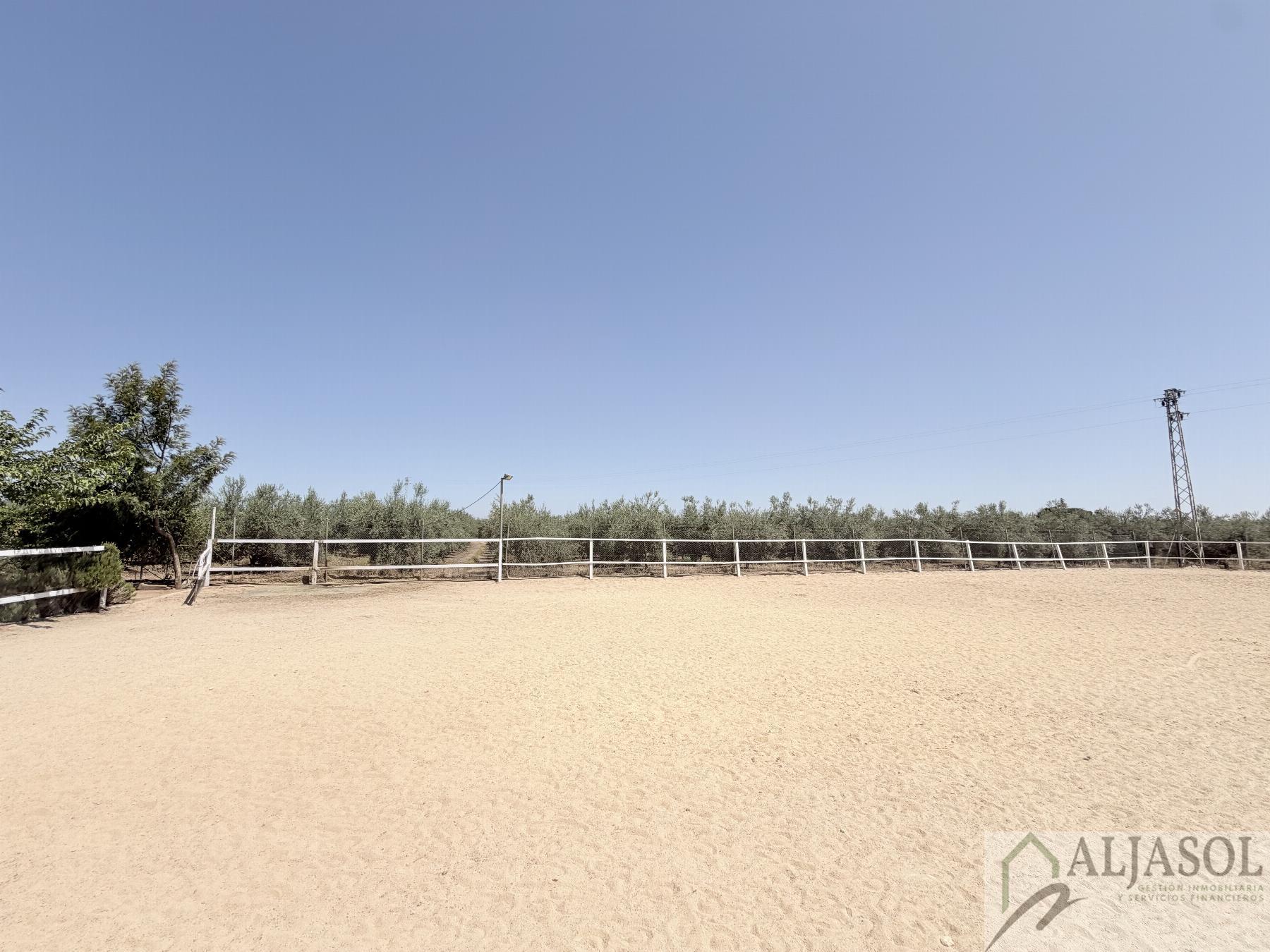Venta de chalet en Bollullos de la Mitación