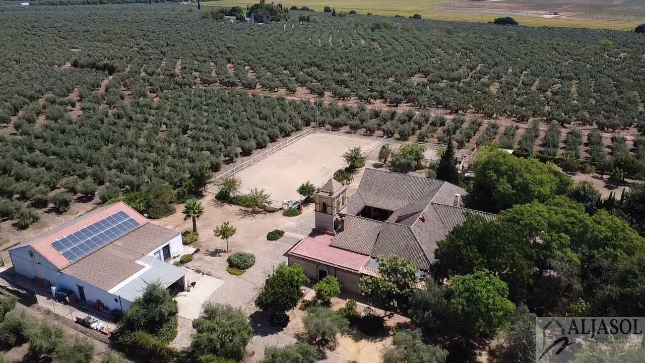 Venta de chalet en Bollullos de la Mitación