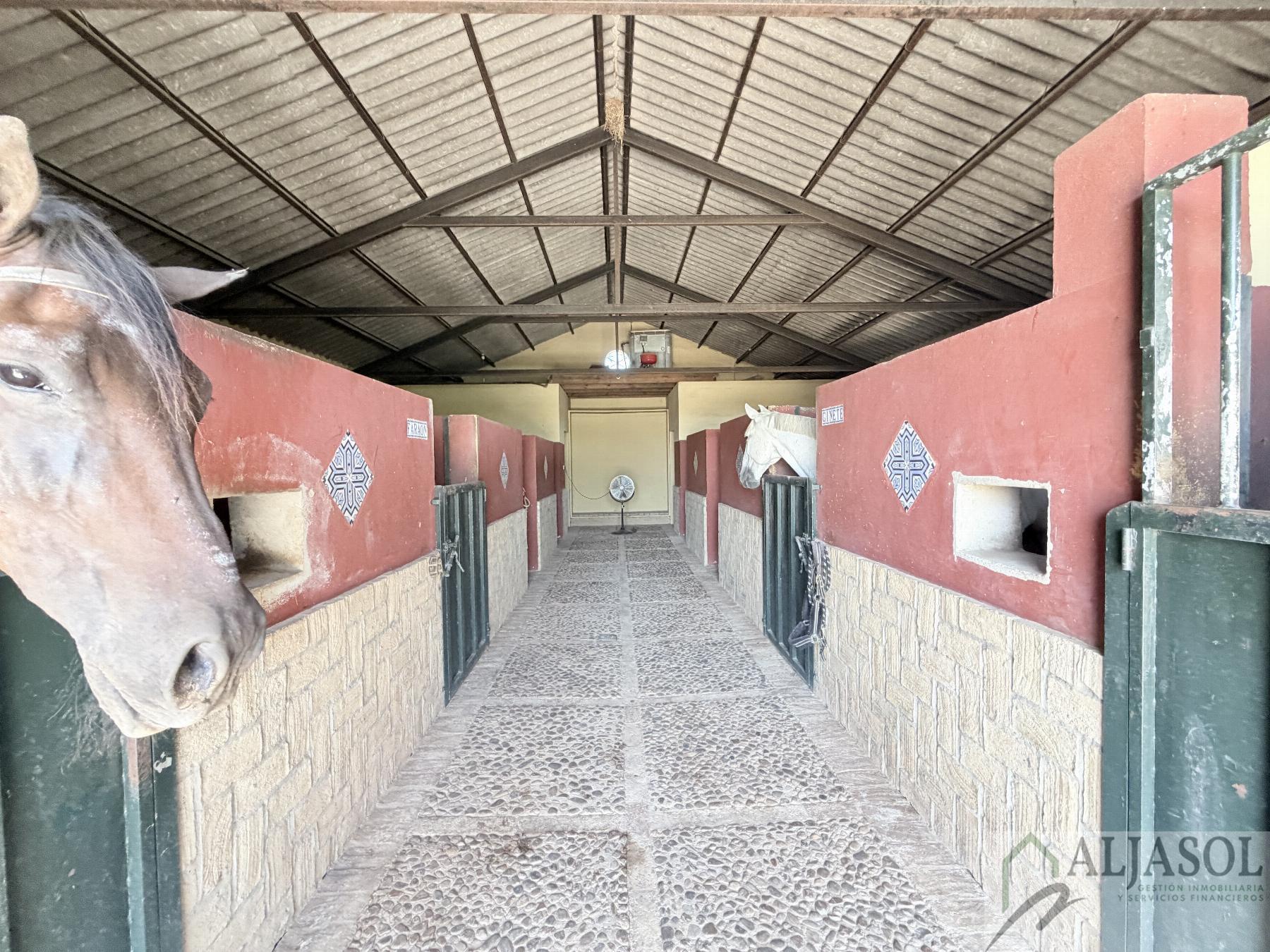 Venta de chalet en Bollullos de la Mitación