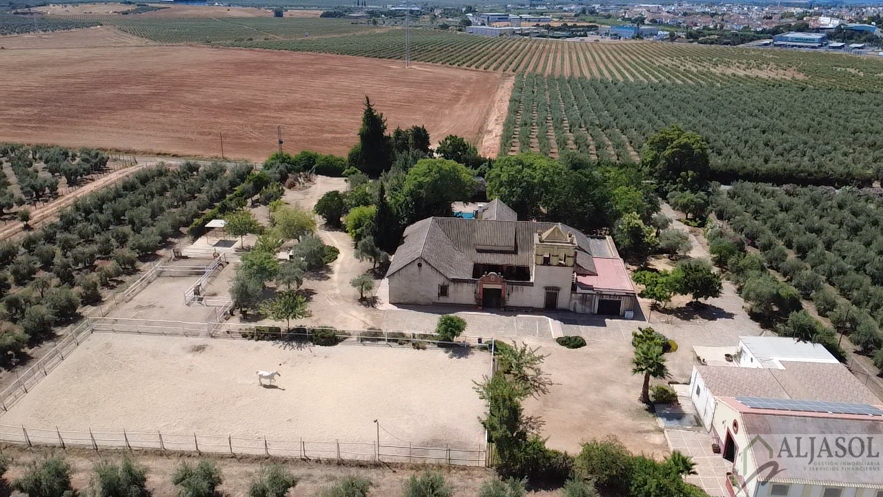 Venta de chalet en Bollullos de la Mitación