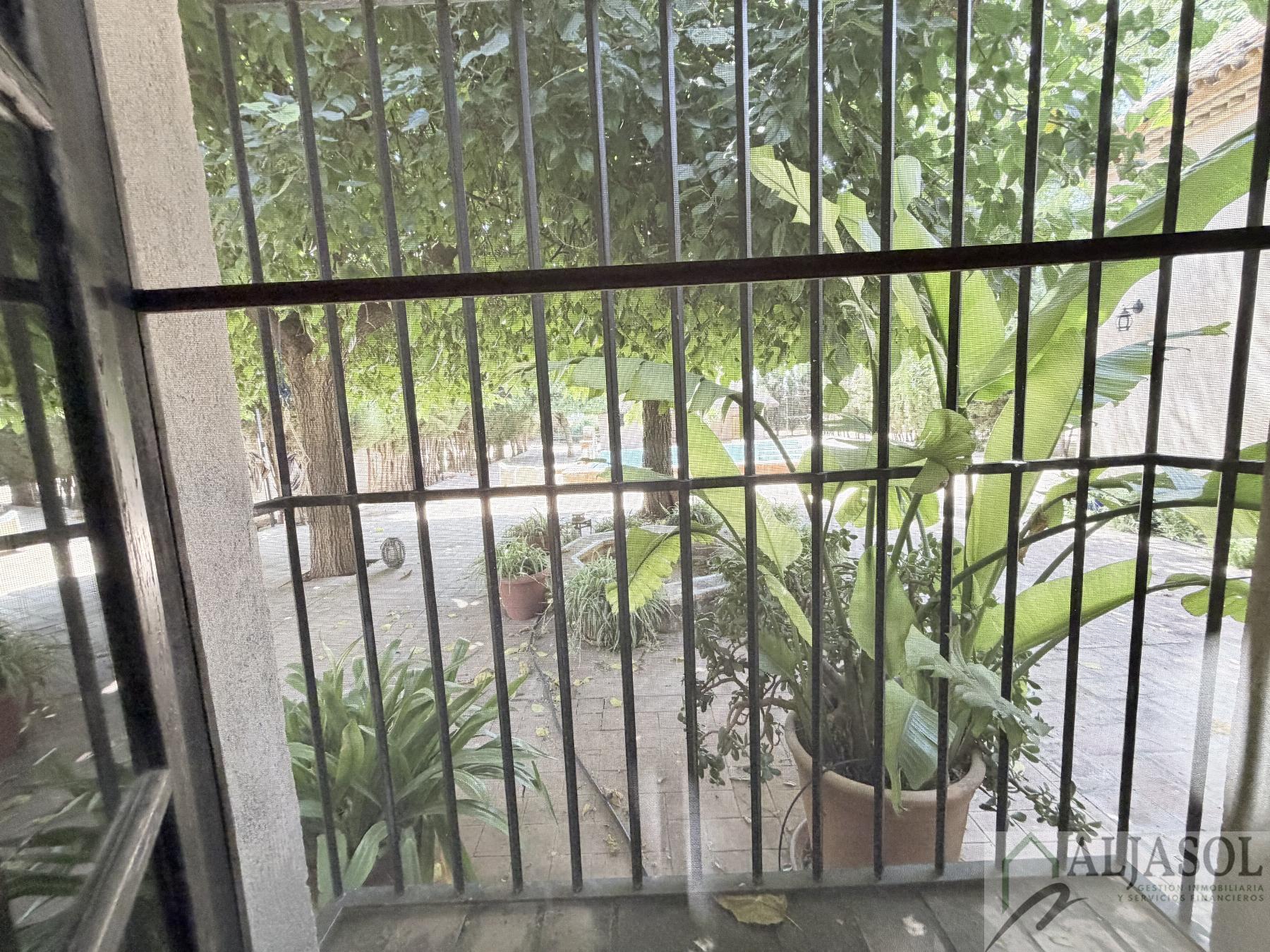 Venta de chalet en Bollullos de la Mitación
