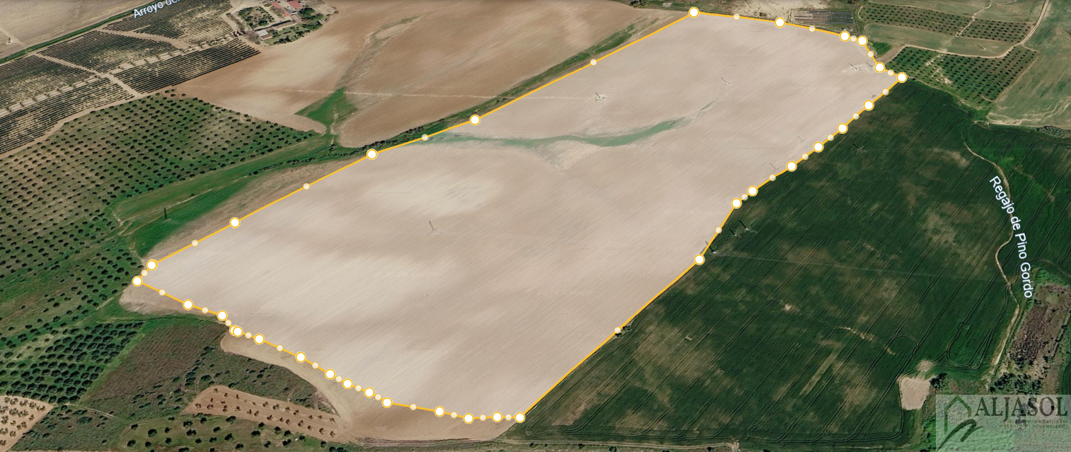 Venta de finca rústica en Almonte