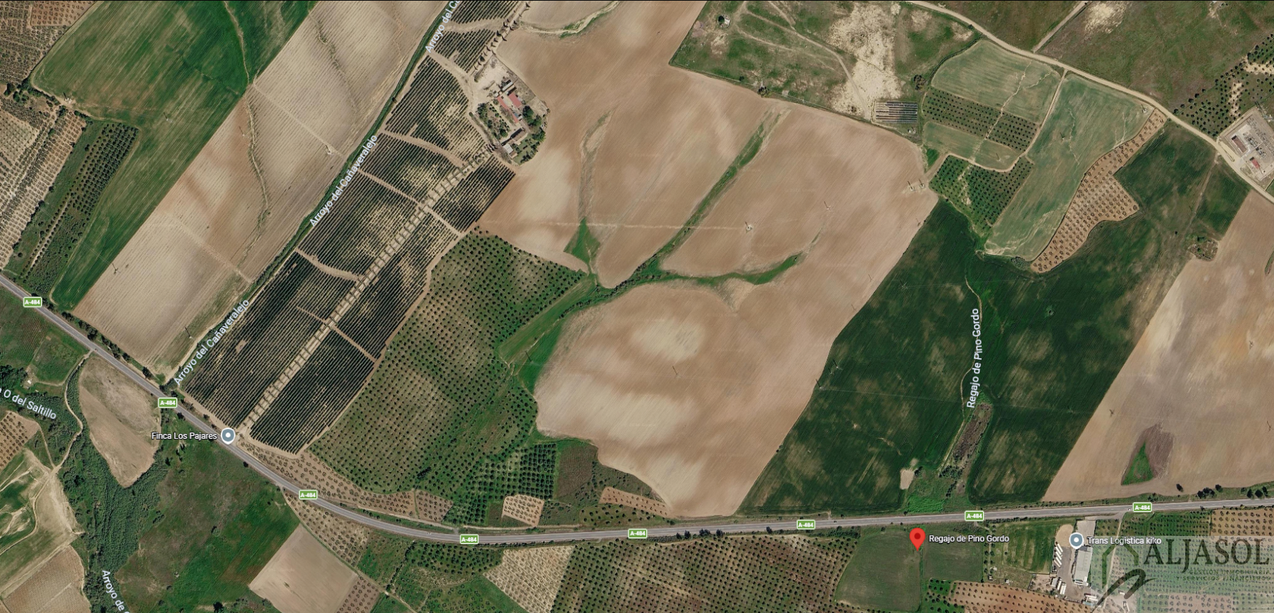 Venta de finca rústica en Almonte