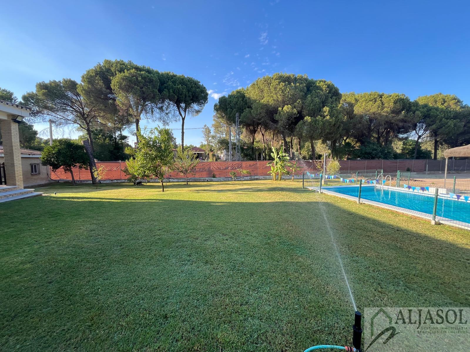 Venta de chalet en La Puebla del Río