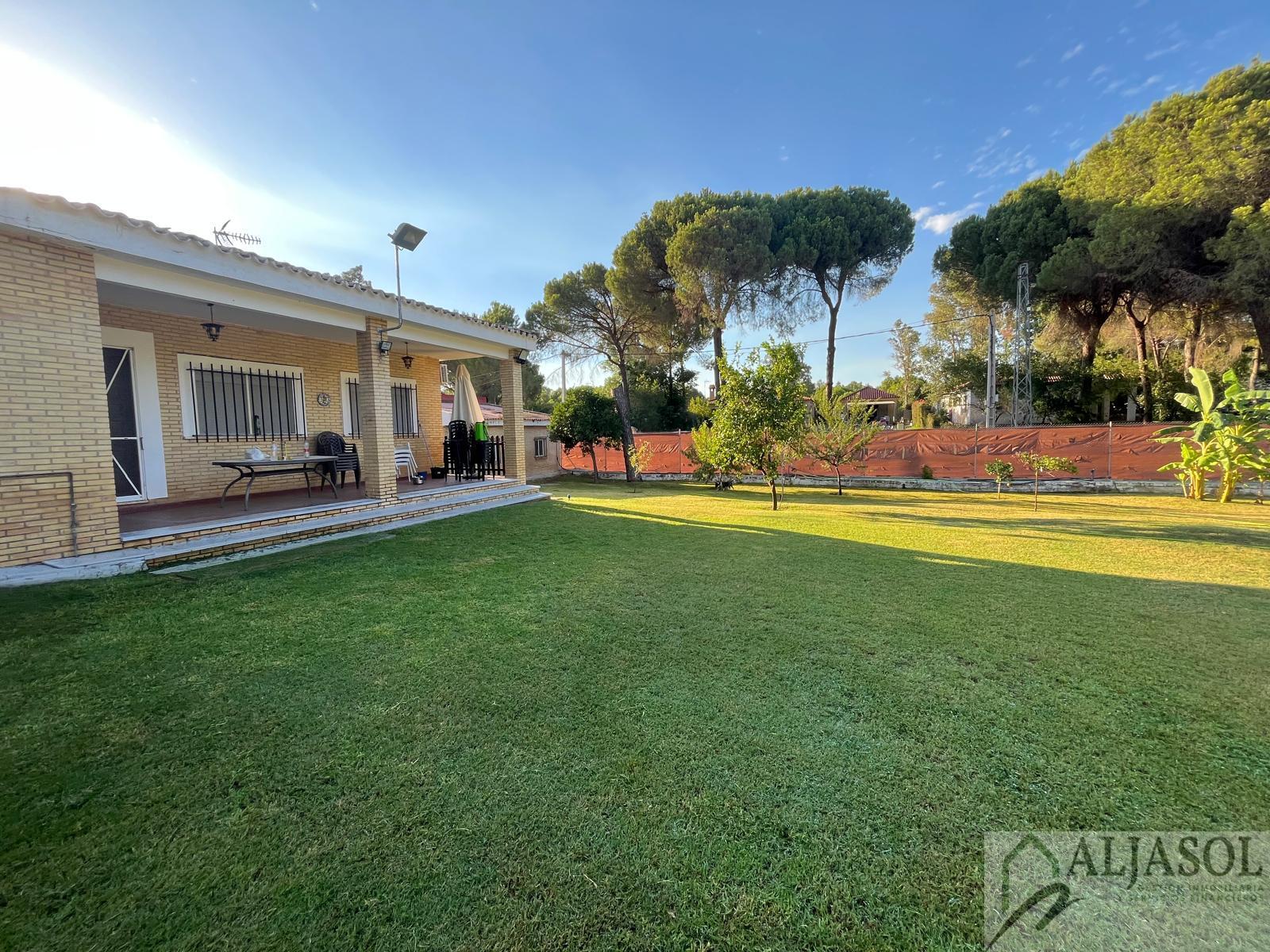 Venta de chalet en La Puebla del Río