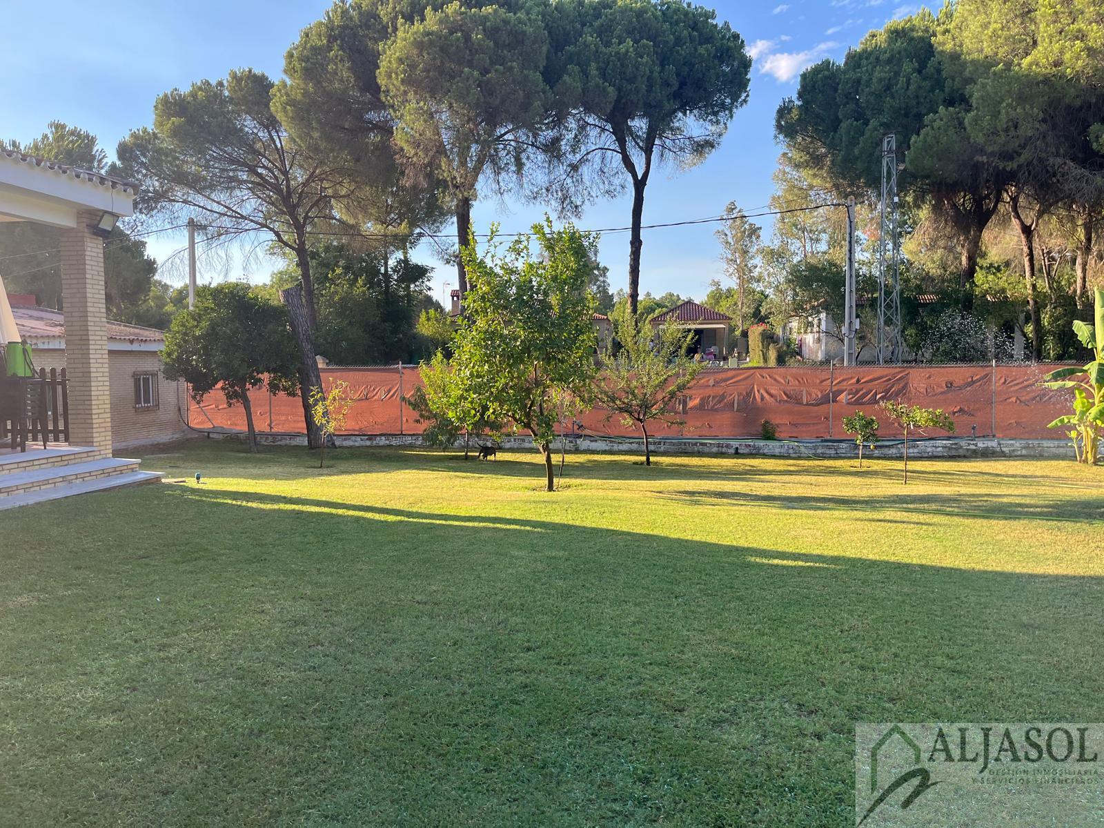 Venta de chalet en La Puebla del Río