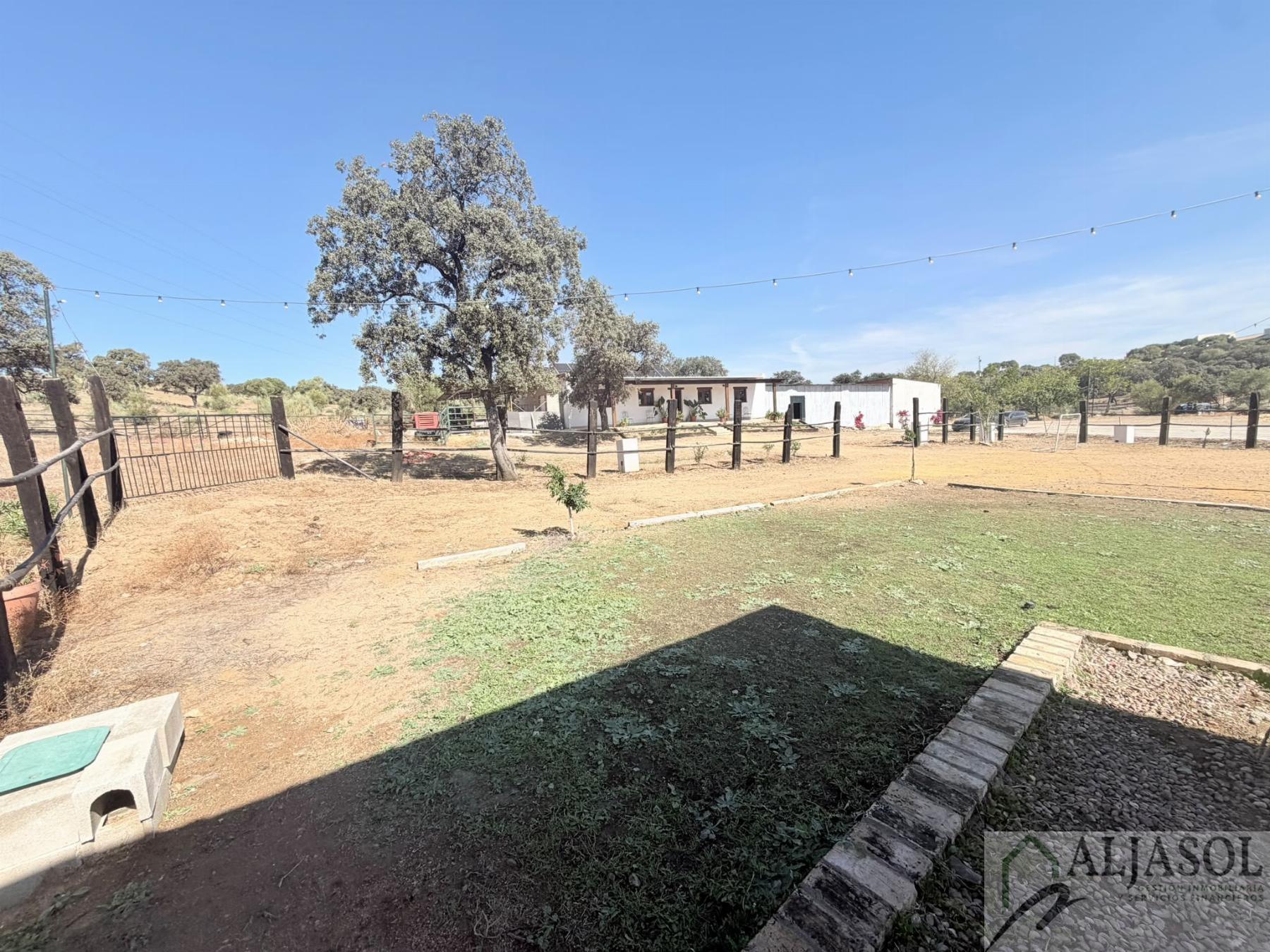Venta de finca rústica en Guillena