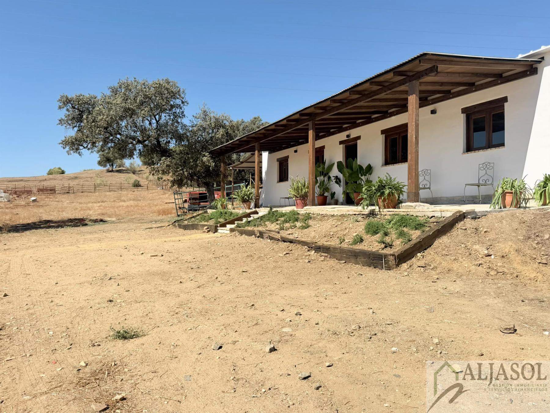 Venta de finca rústica en Guillena