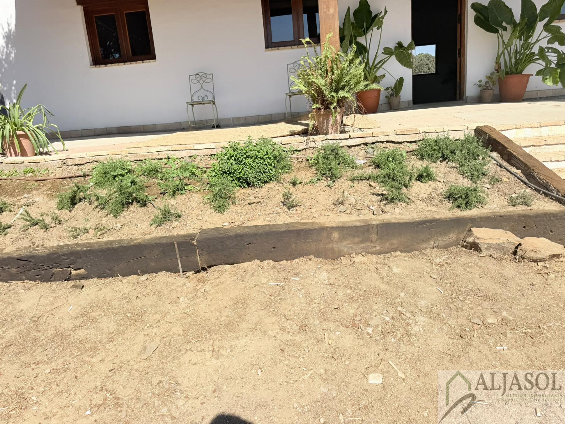 Venta de finca rústica en Guillena
