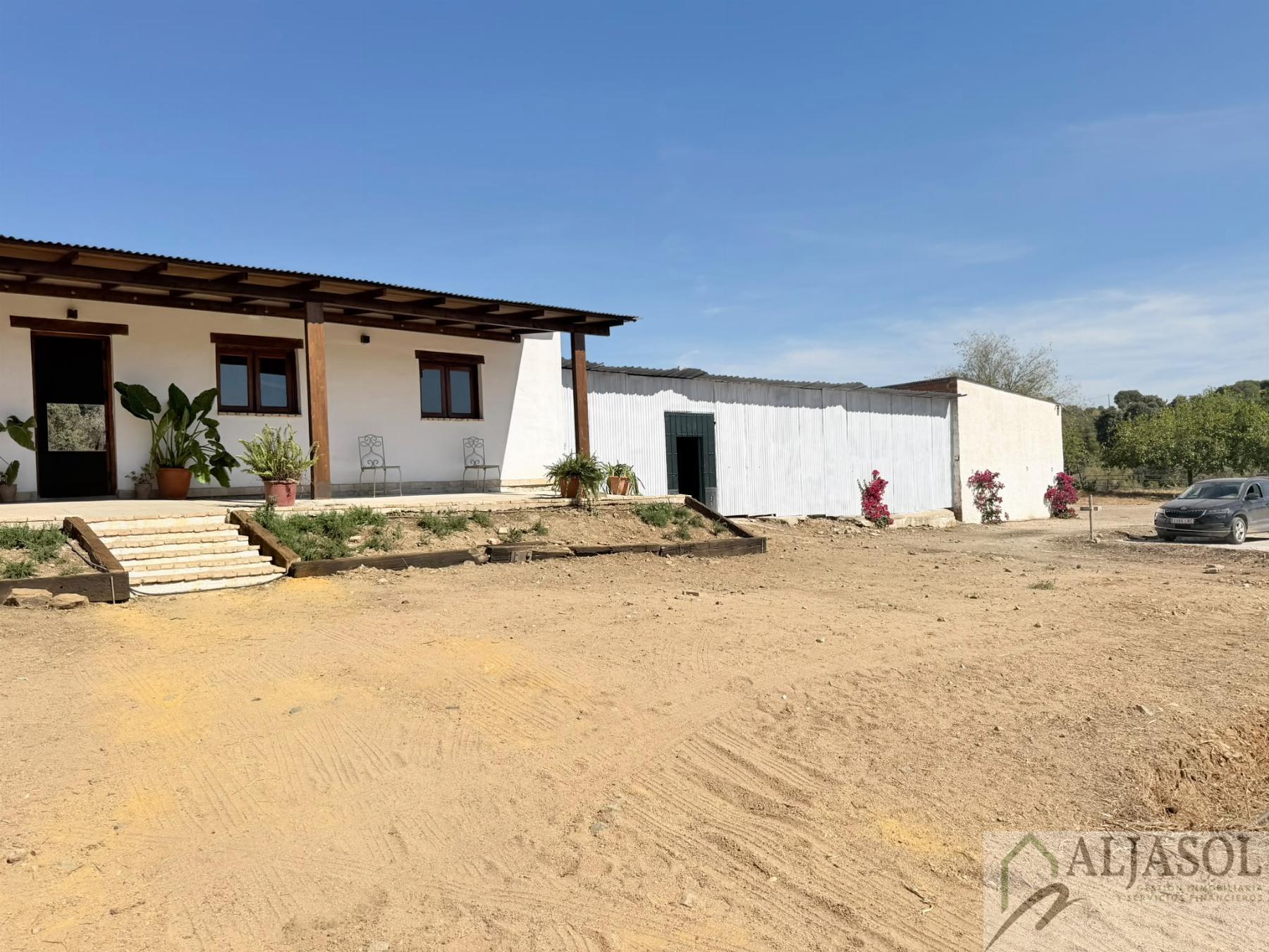 Venta de finca rústica en Guillena