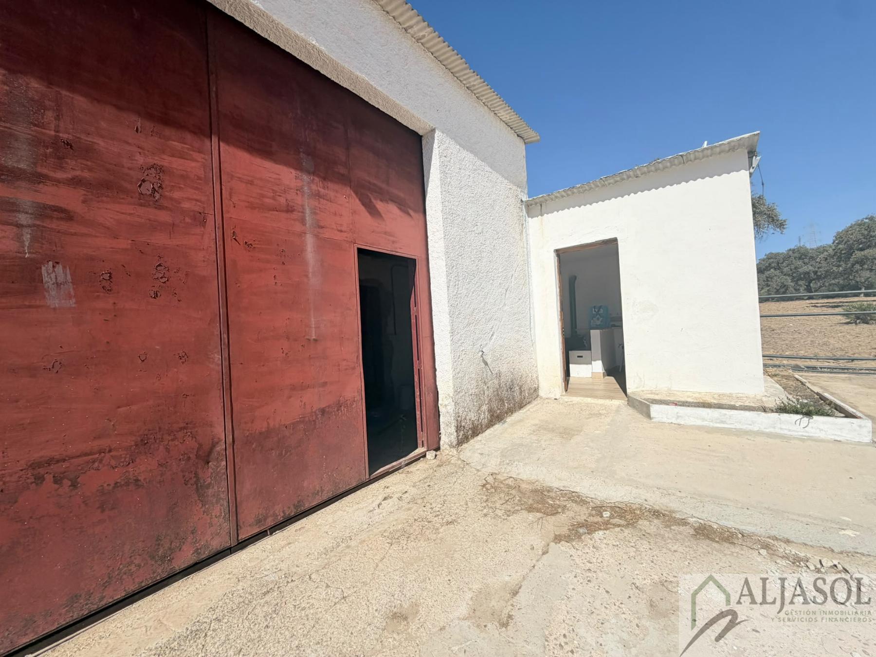Venta de finca rústica en Guillena