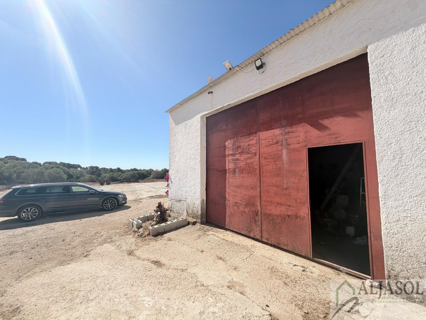 Venta de finca rústica en Guillena