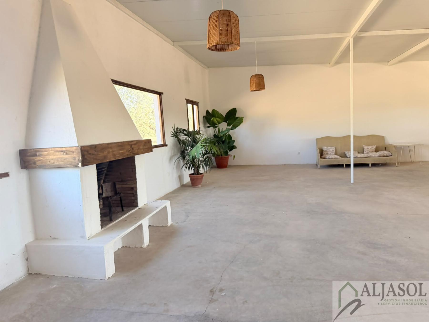 Venta de finca rústica en Guillena