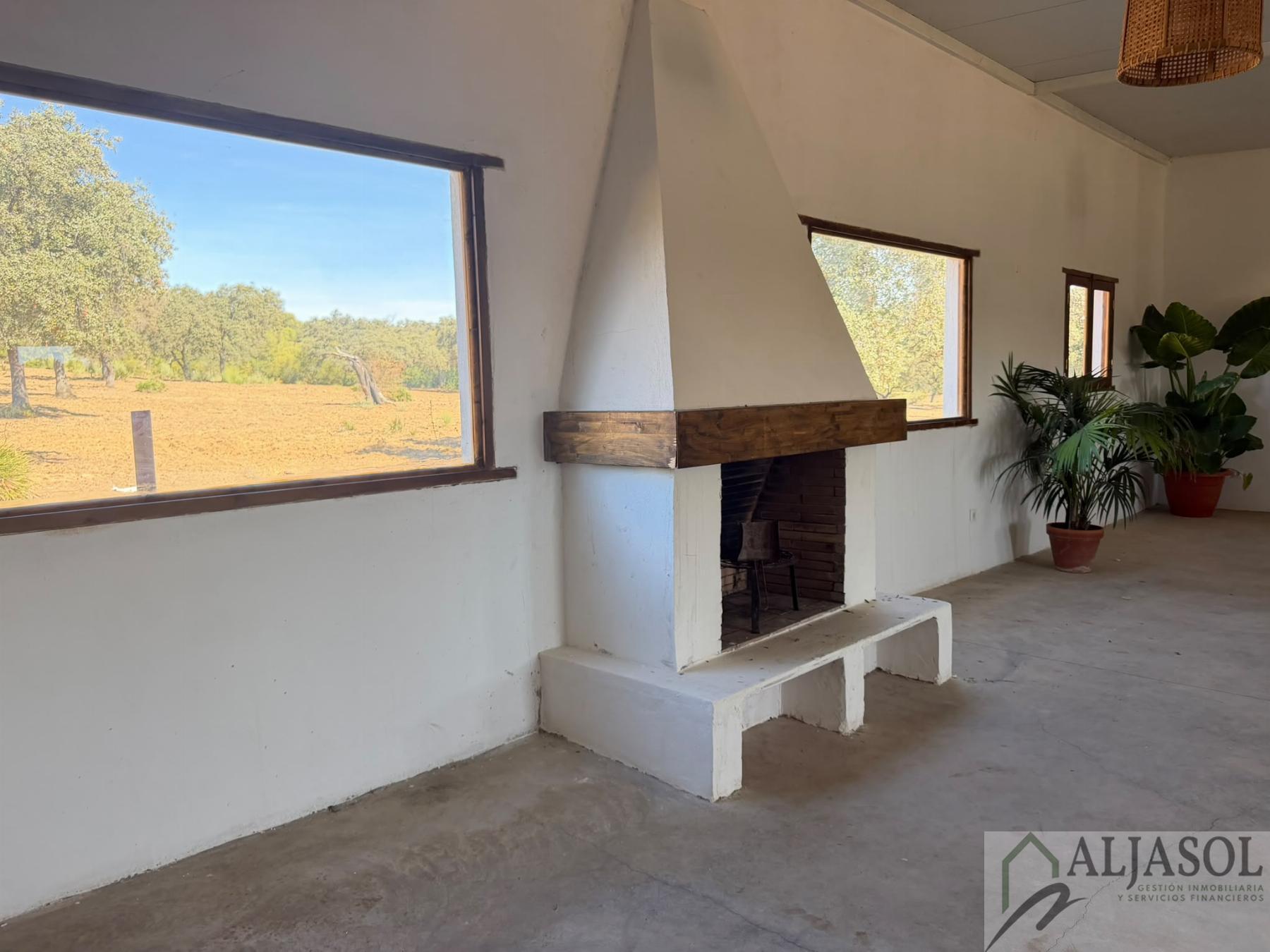 Venta de finca rústica en Guillena