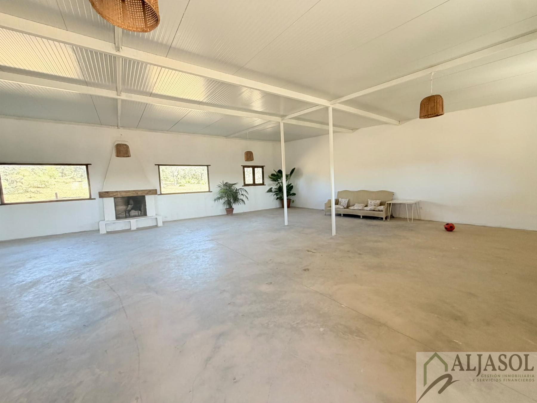 Venta de finca rústica en Guillena