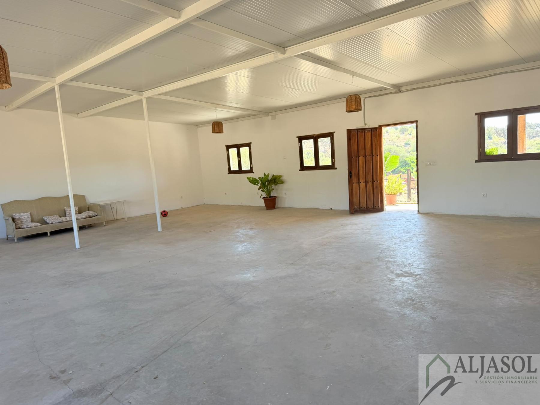 Venta de finca rústica en Guillena