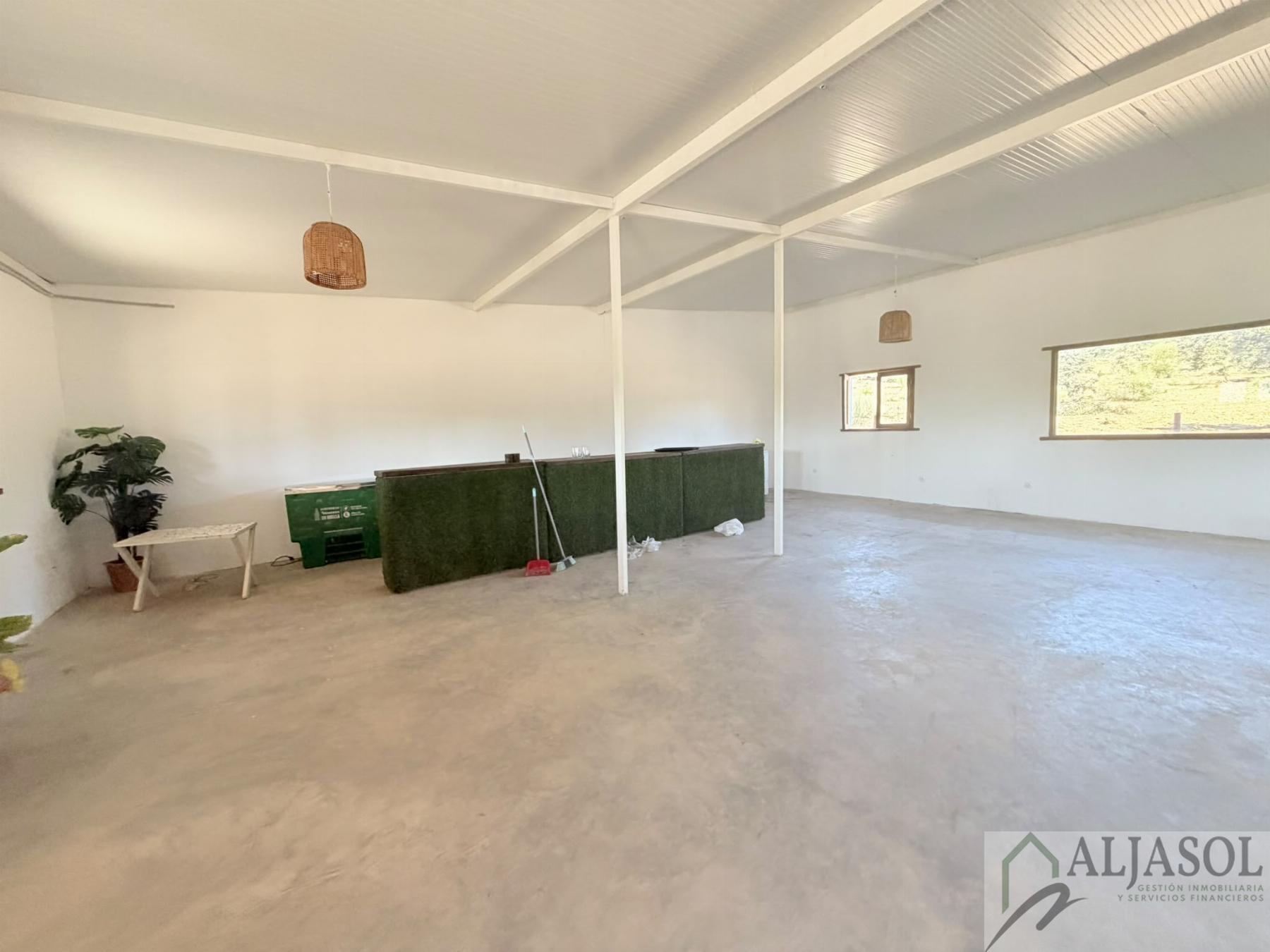 Venta de finca rústica en Guillena