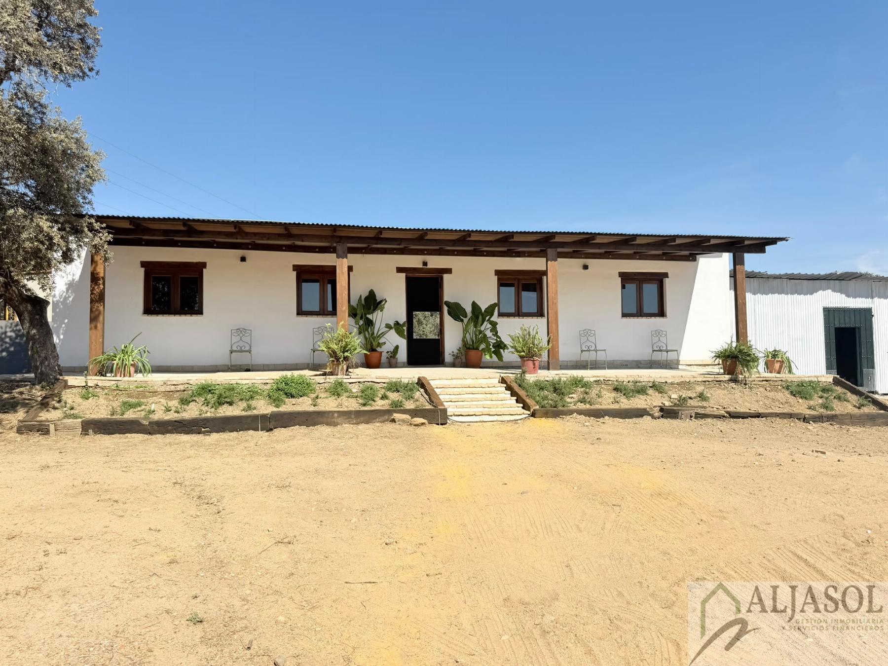 Venta de finca rústica en Guillena