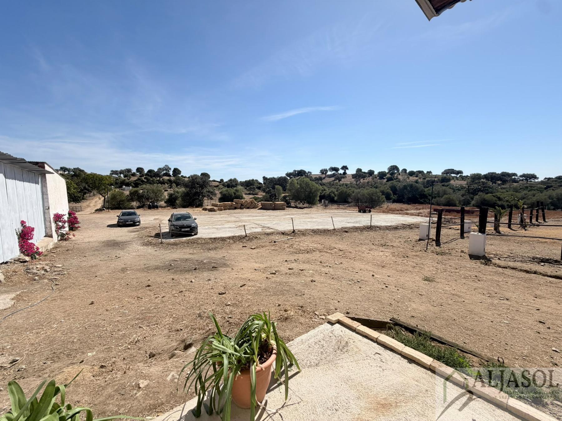Venta de finca rústica en Guillena