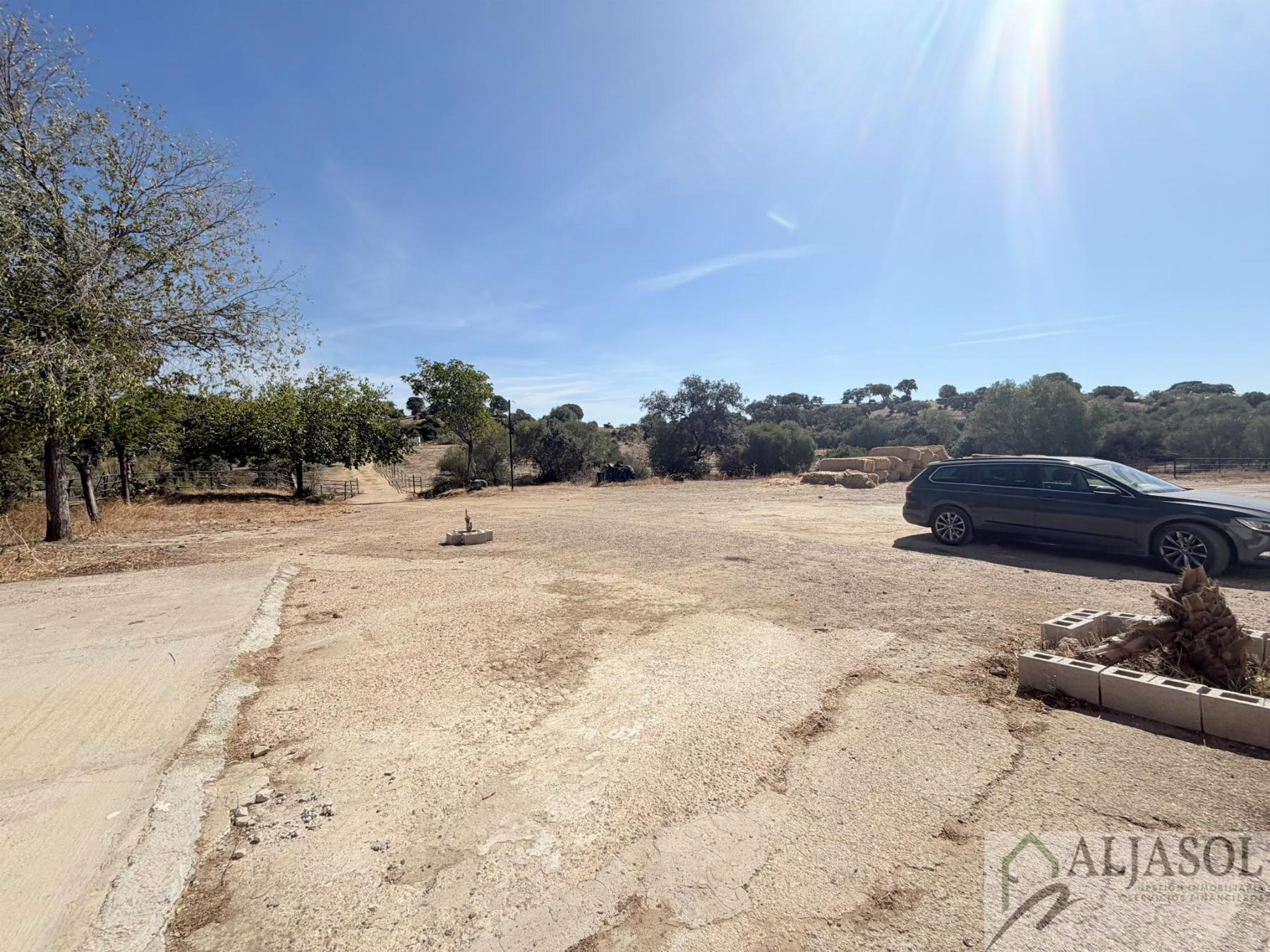 Venta de finca rústica en Guillena
