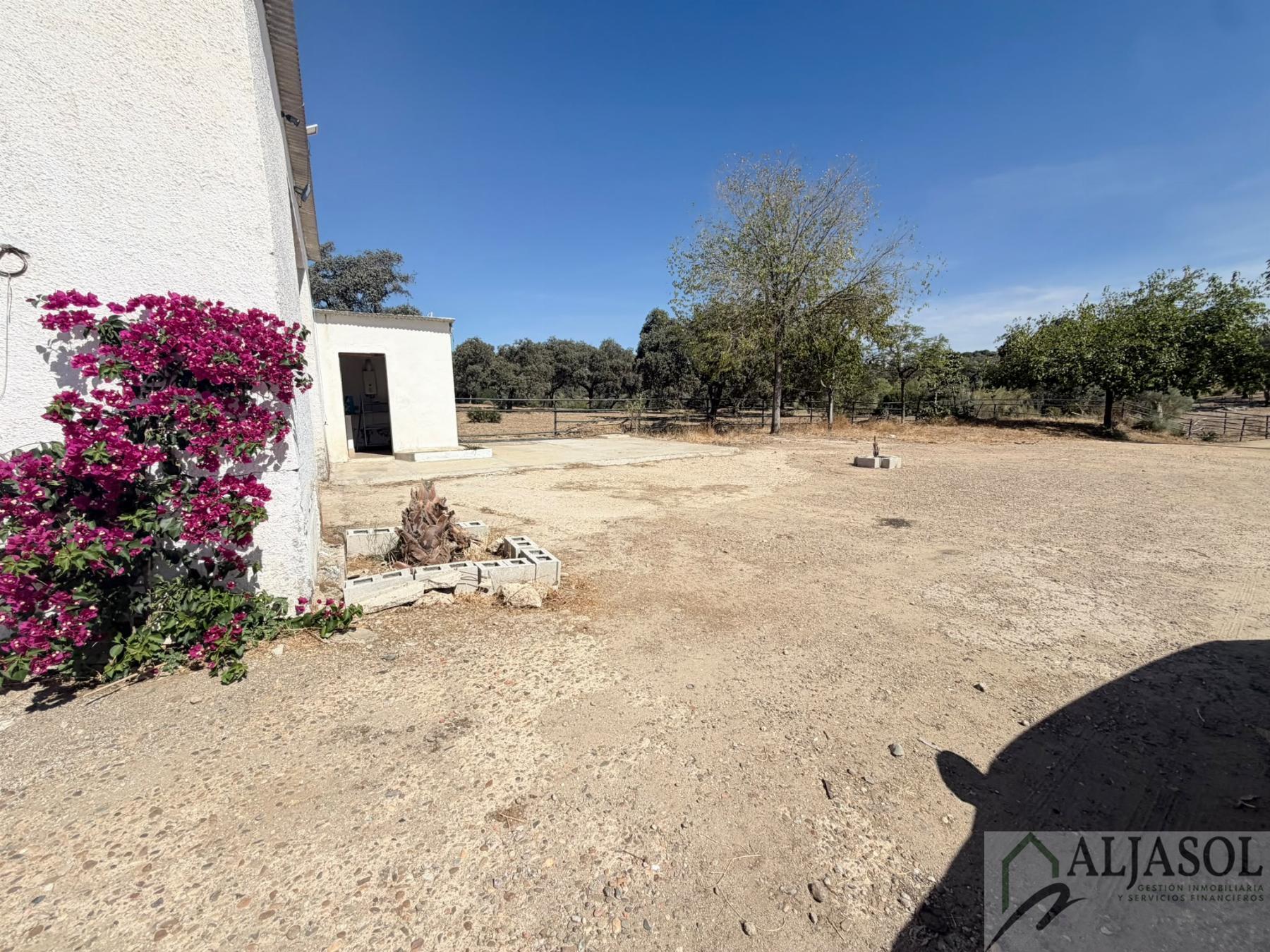 Venta de finca rústica en Guillena