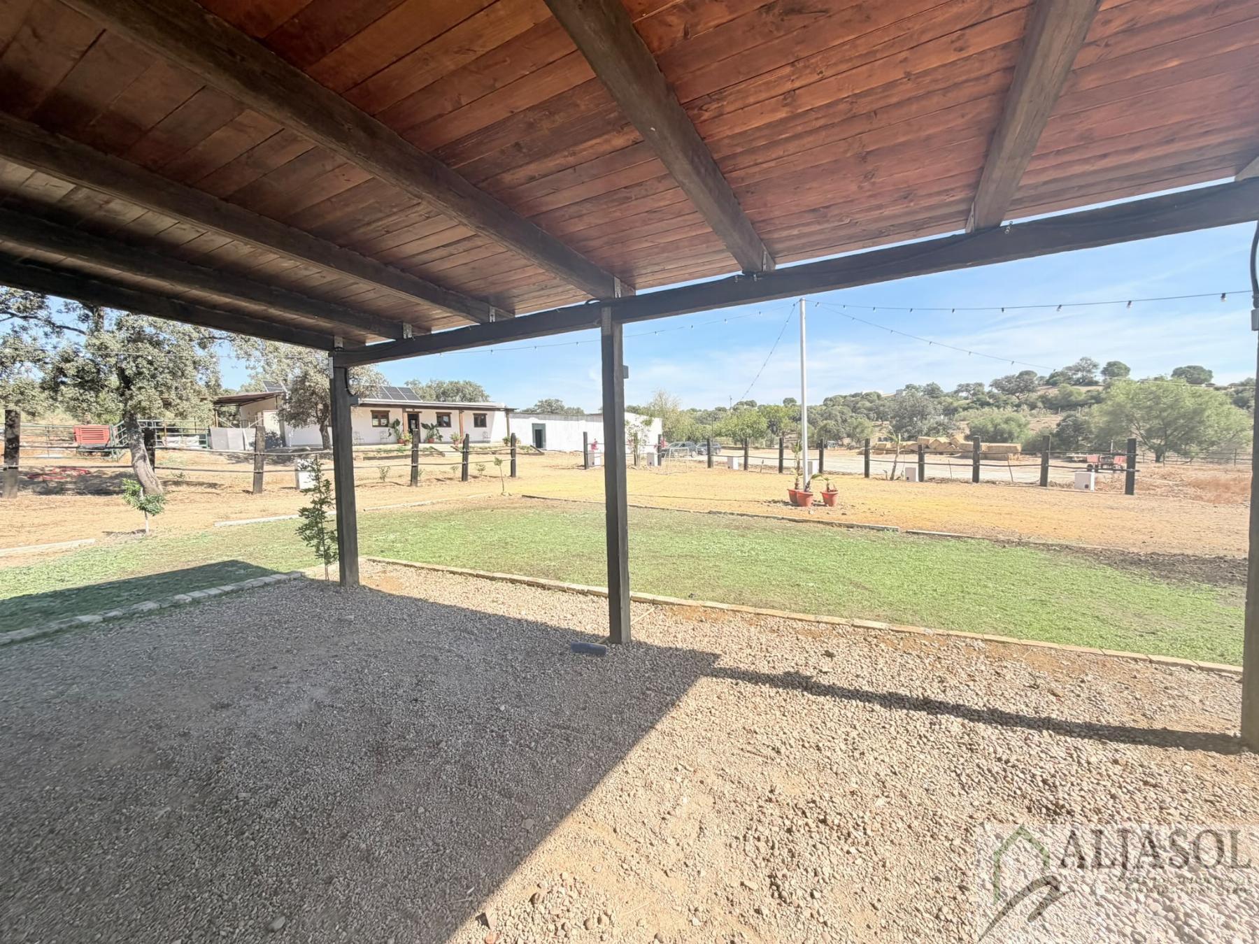Venta de finca rústica en Guillena