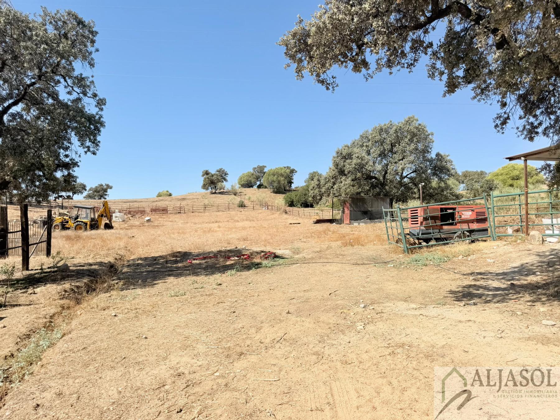 Venta de finca rústica en Guillena