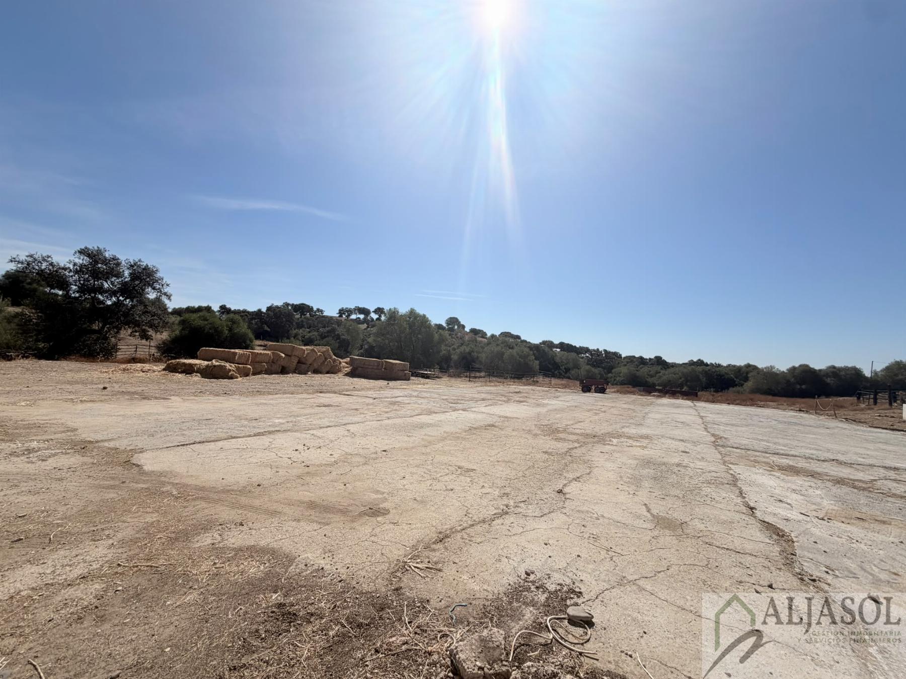 Venta de finca rústica en Guillena