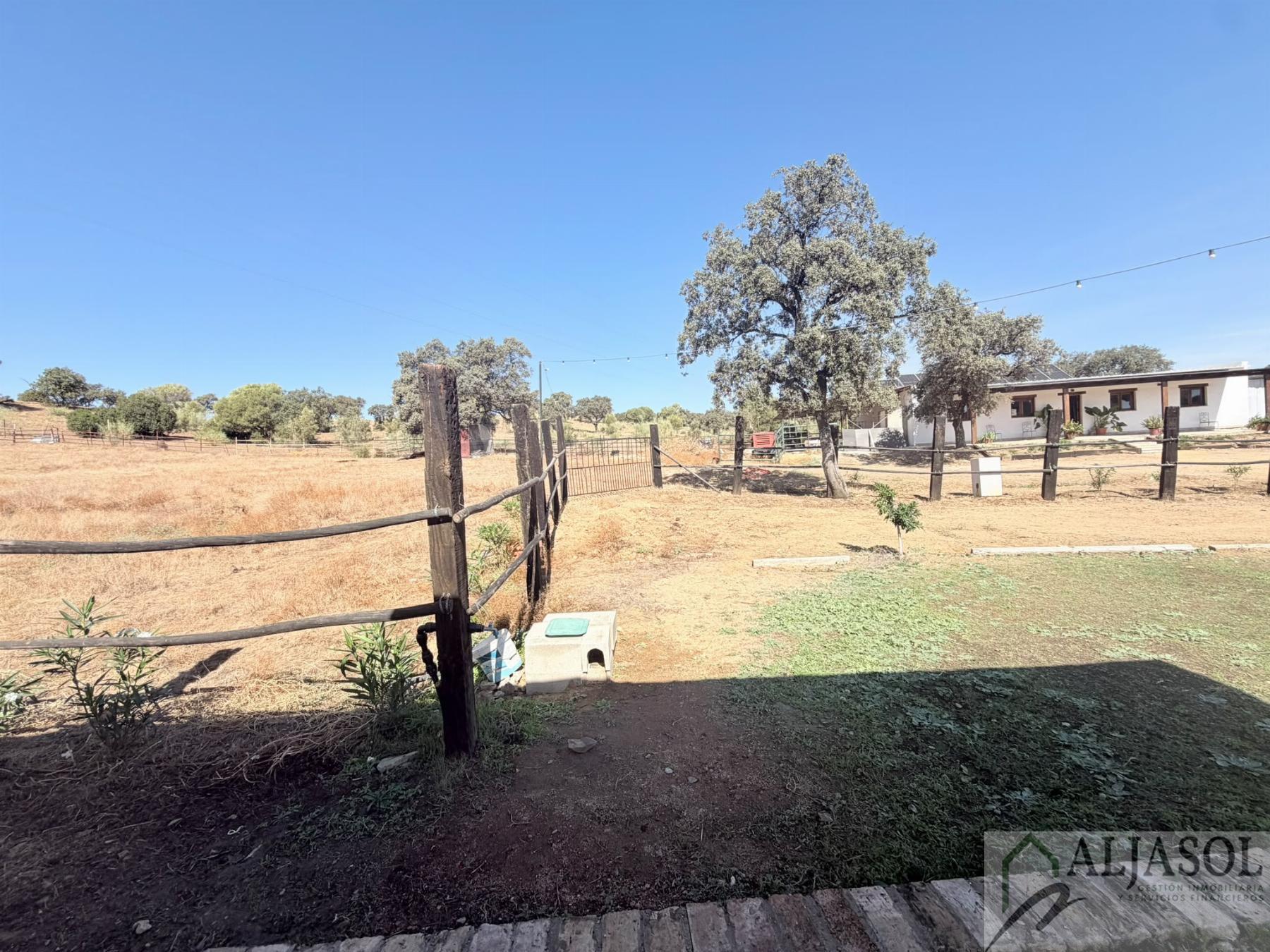 Venta de finca rústica en Guillena
