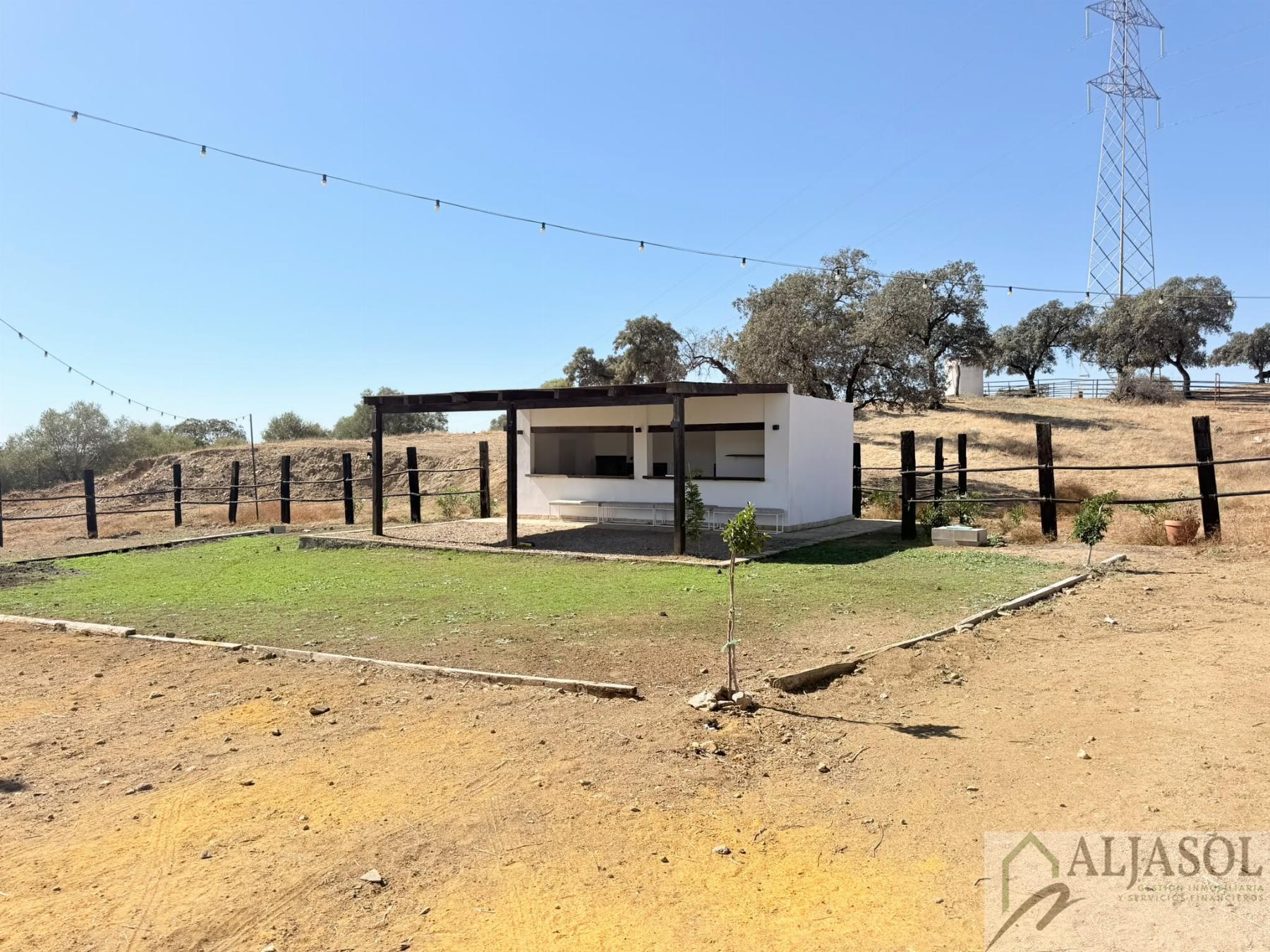 Venta de finca rústica en Guillena