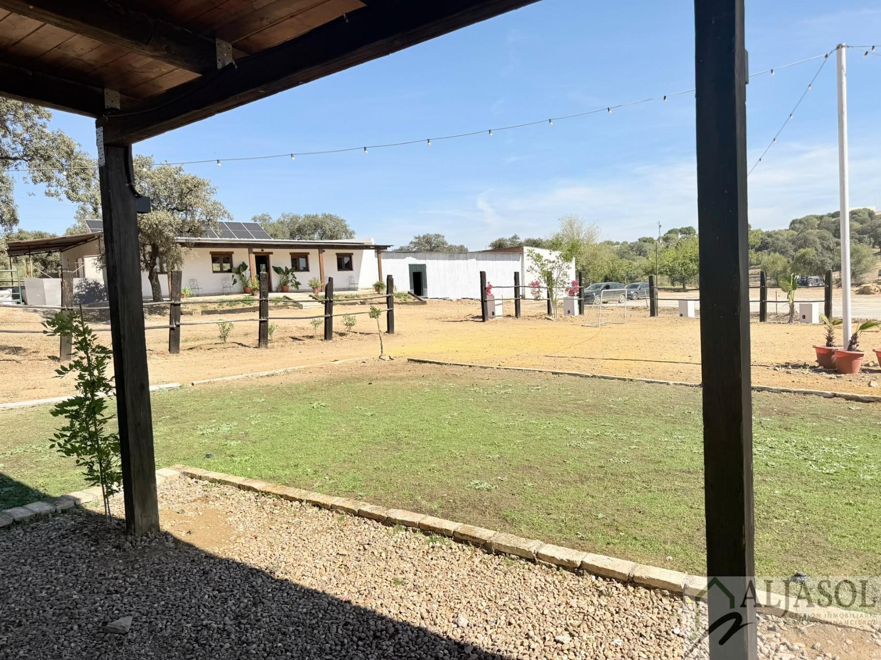 Venta de finca rústica en Guillena