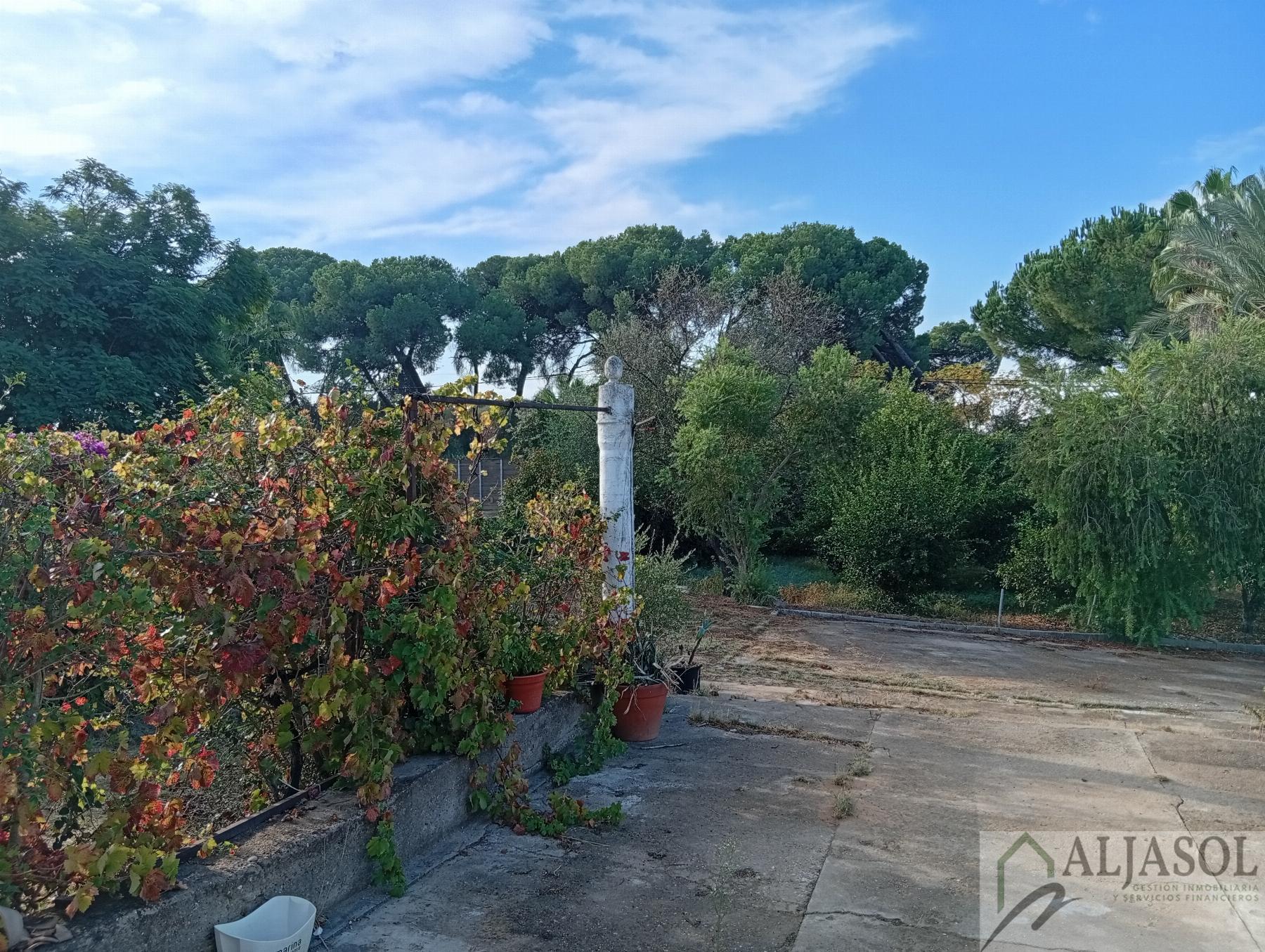 Venta de finca rústica en La Puebla del Río