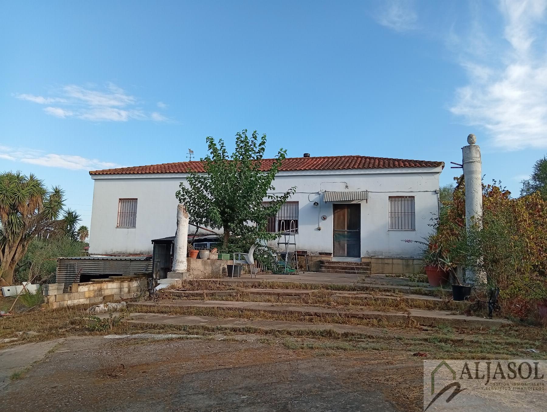 Venta de finca rústica en La Puebla del Río