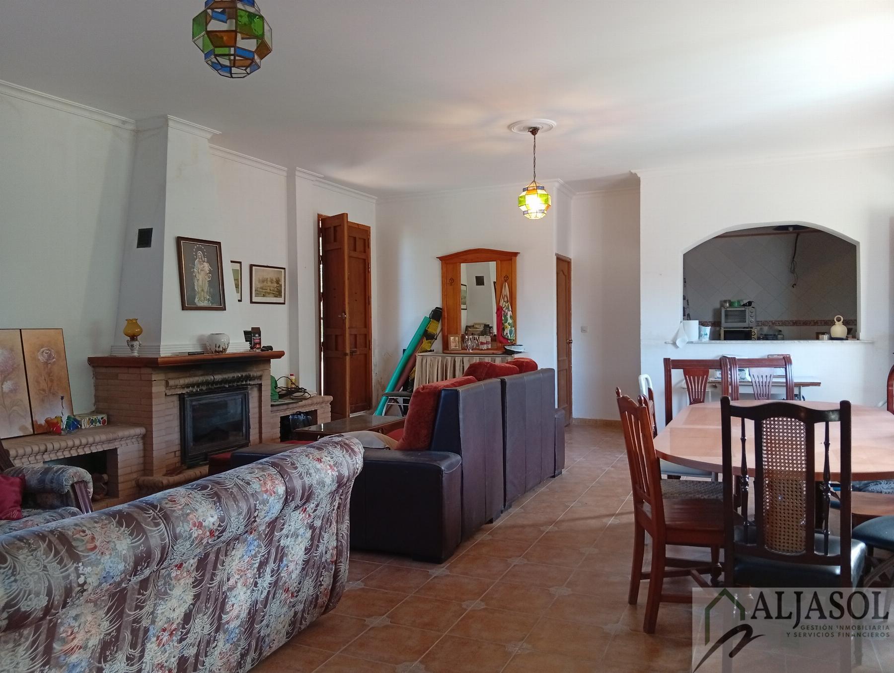 Venta de finca rústica en La Puebla del Río